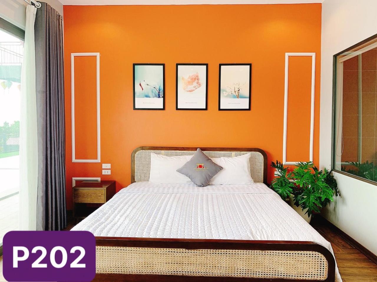 Standard Double Room photo 3