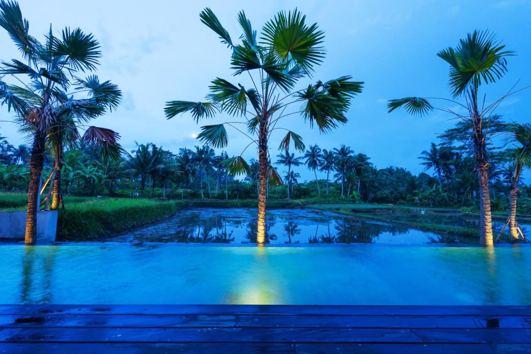 One-Bedroom Villa - Photo 2