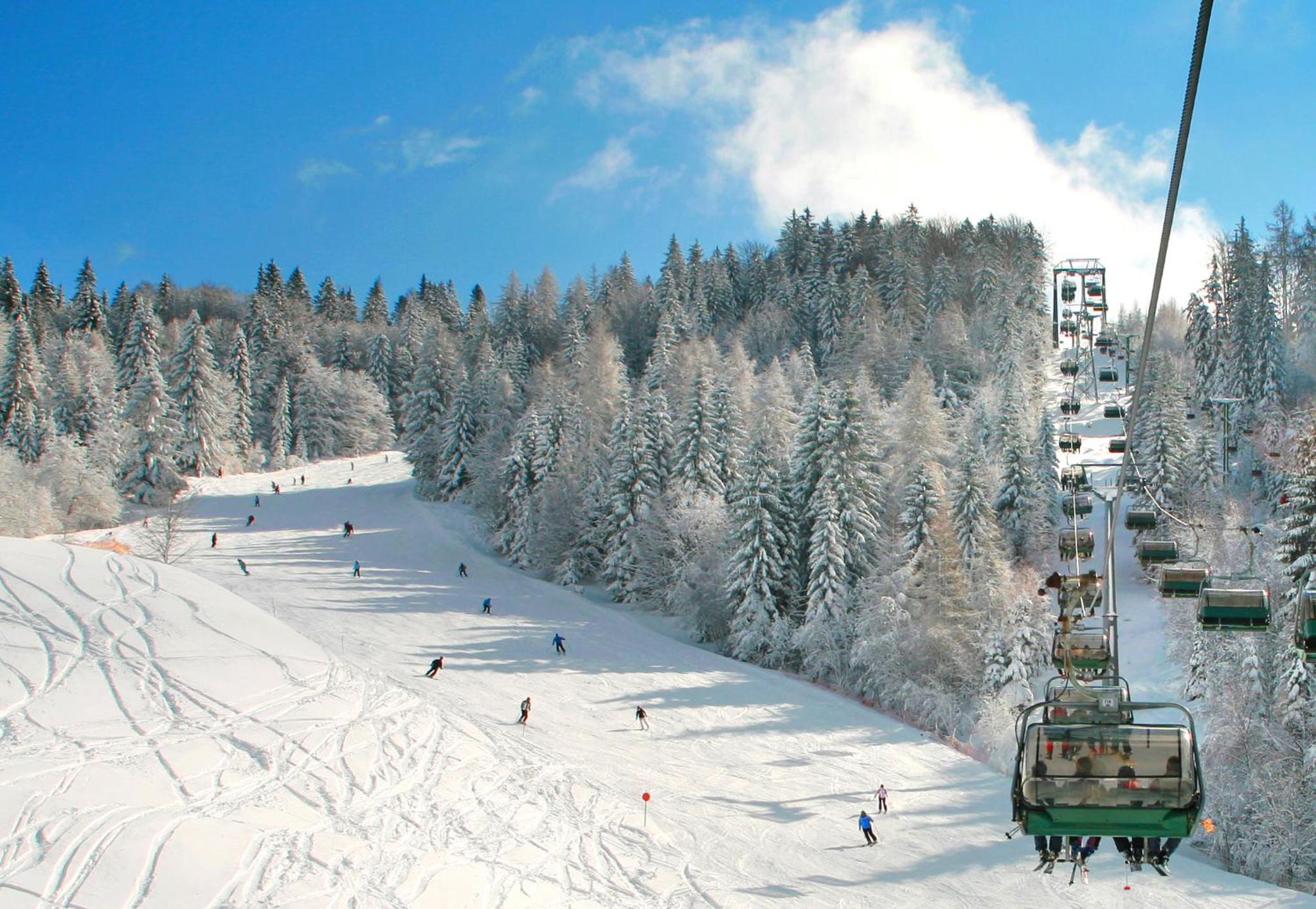Two-Bedroom Apartment - Photo 31