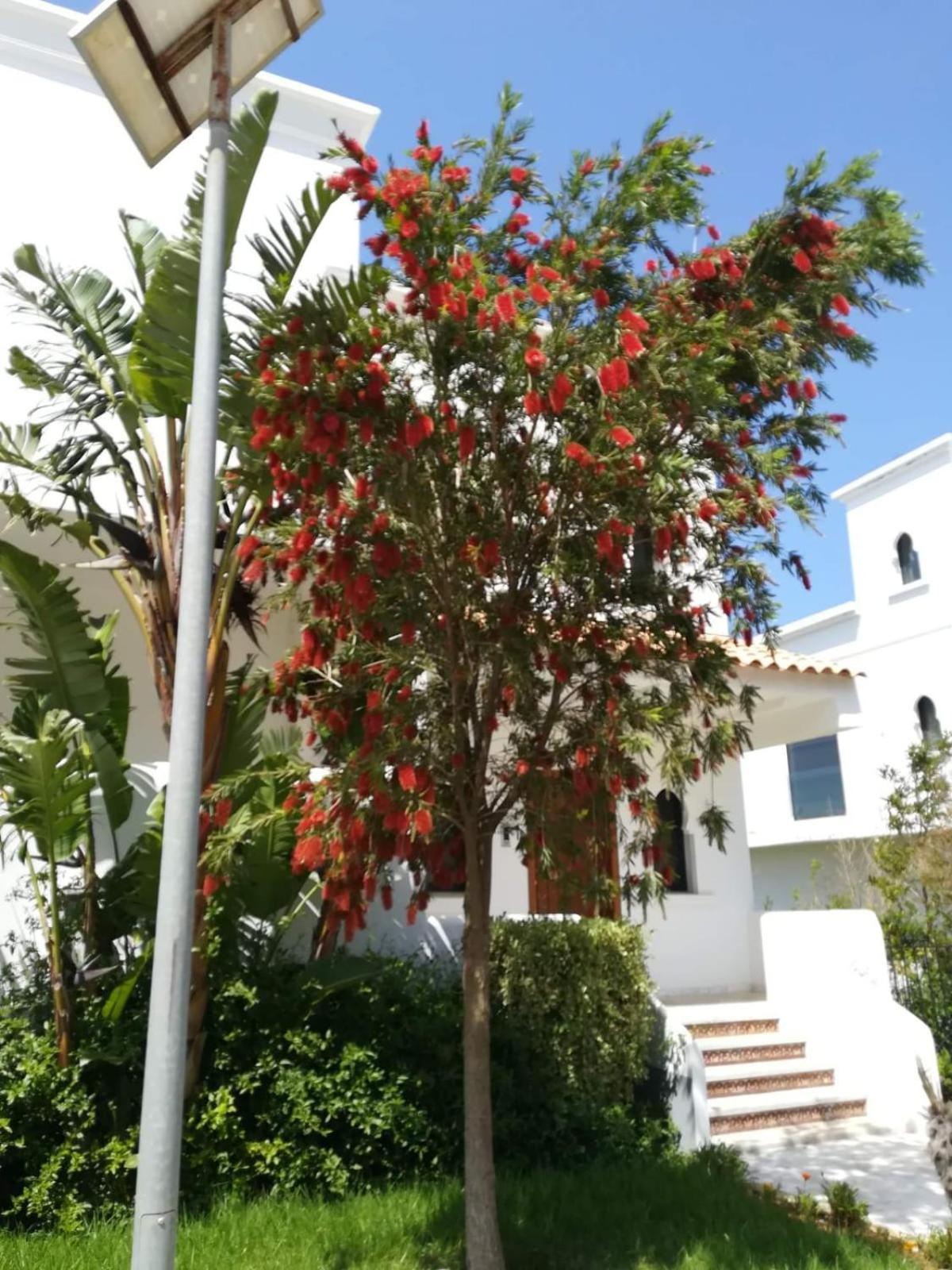 Apartment with Sea View - Photo 4