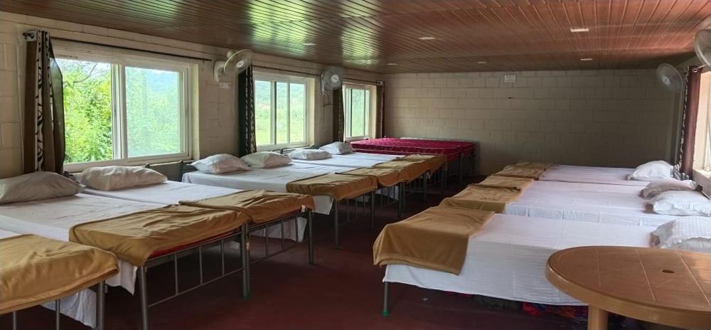 10-Bed Mixed Dormitory Room photo 1