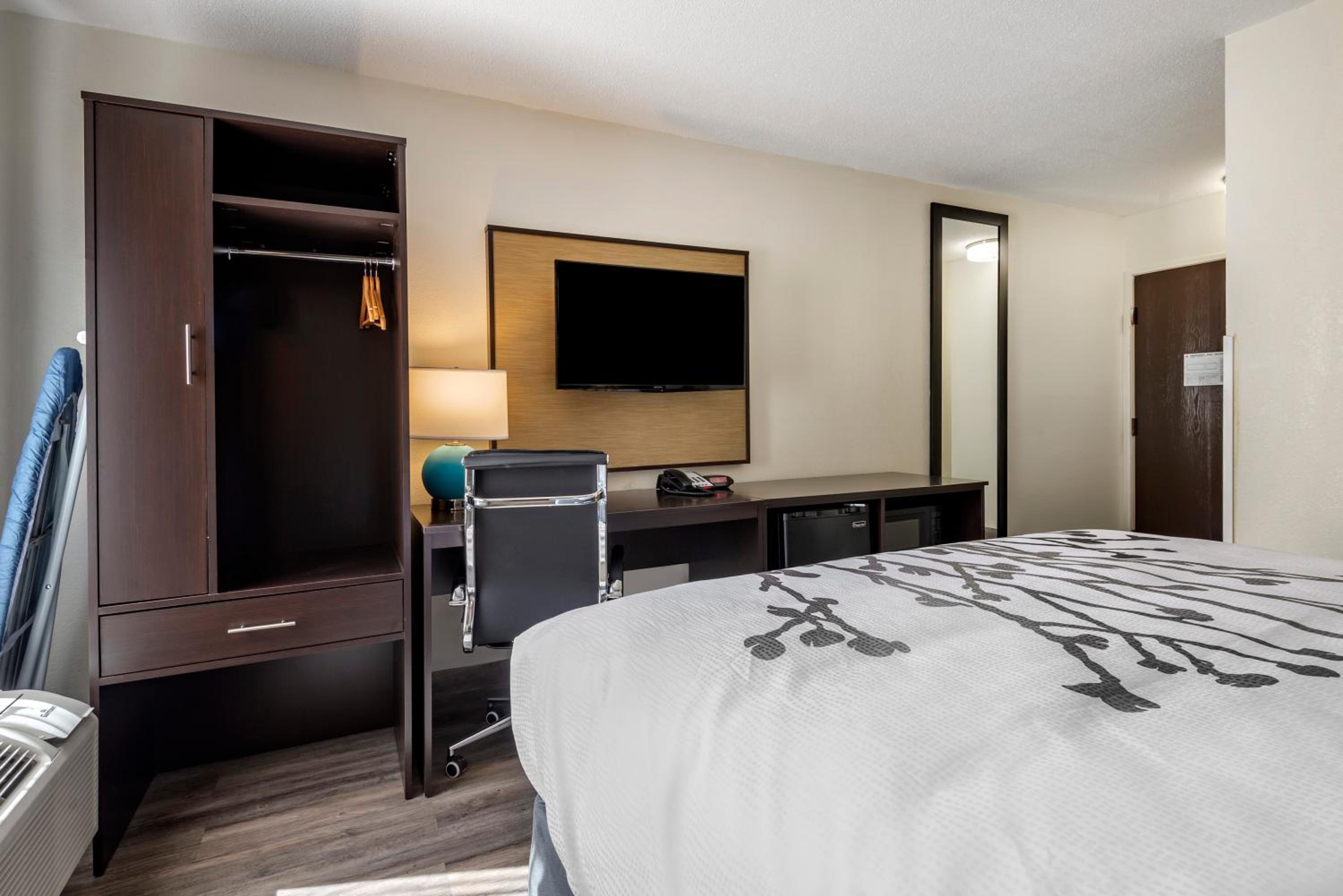 King Room - Accessible/Non-Smoking - Photo 9
