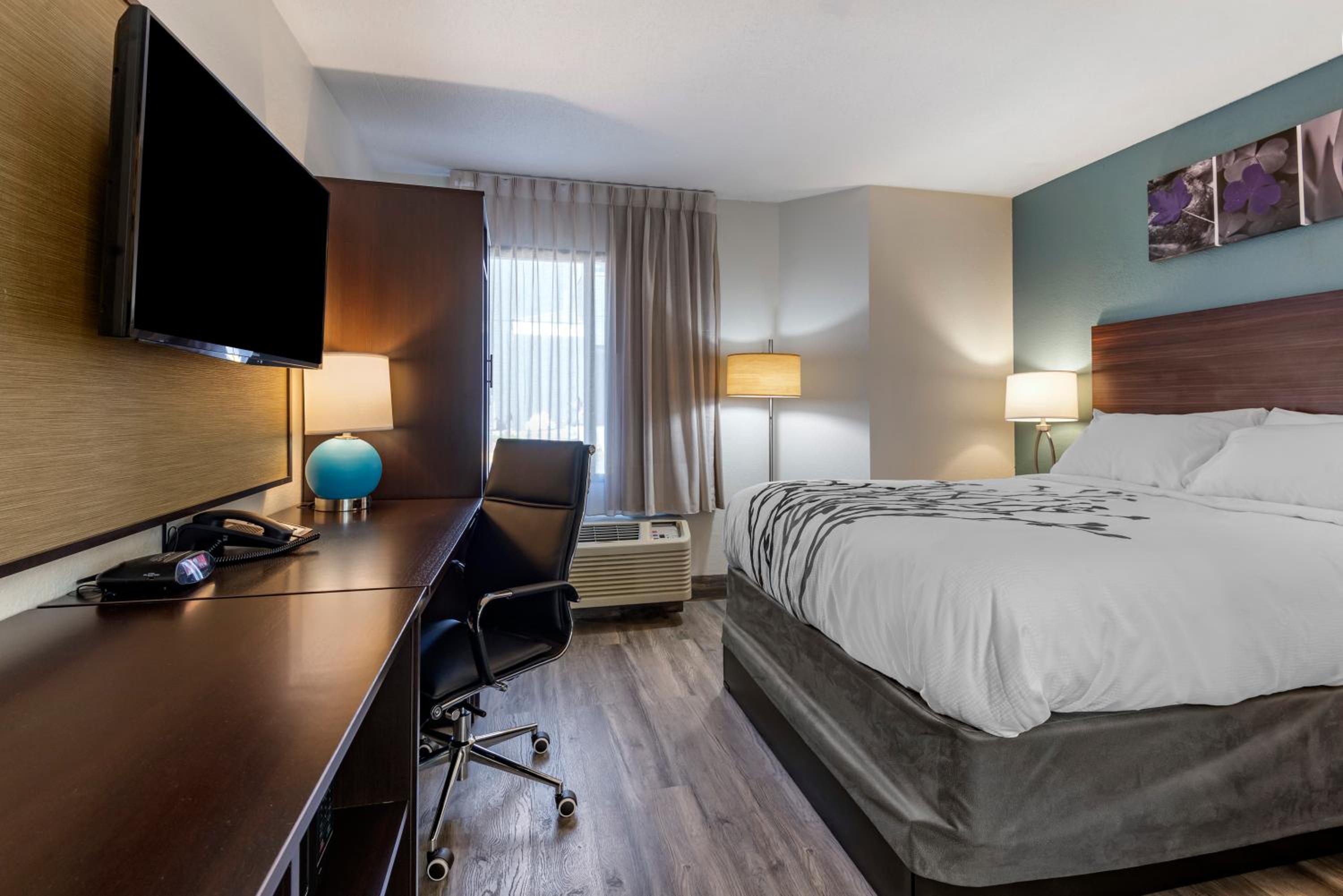 King Room - Accessible/Non-Smoking - Photo 5
