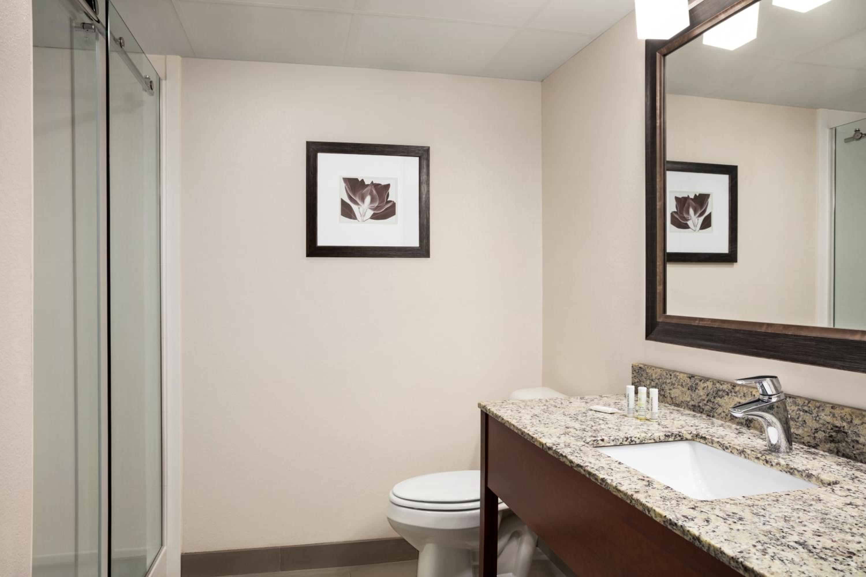 King Suite - Non-Smoking photo 3