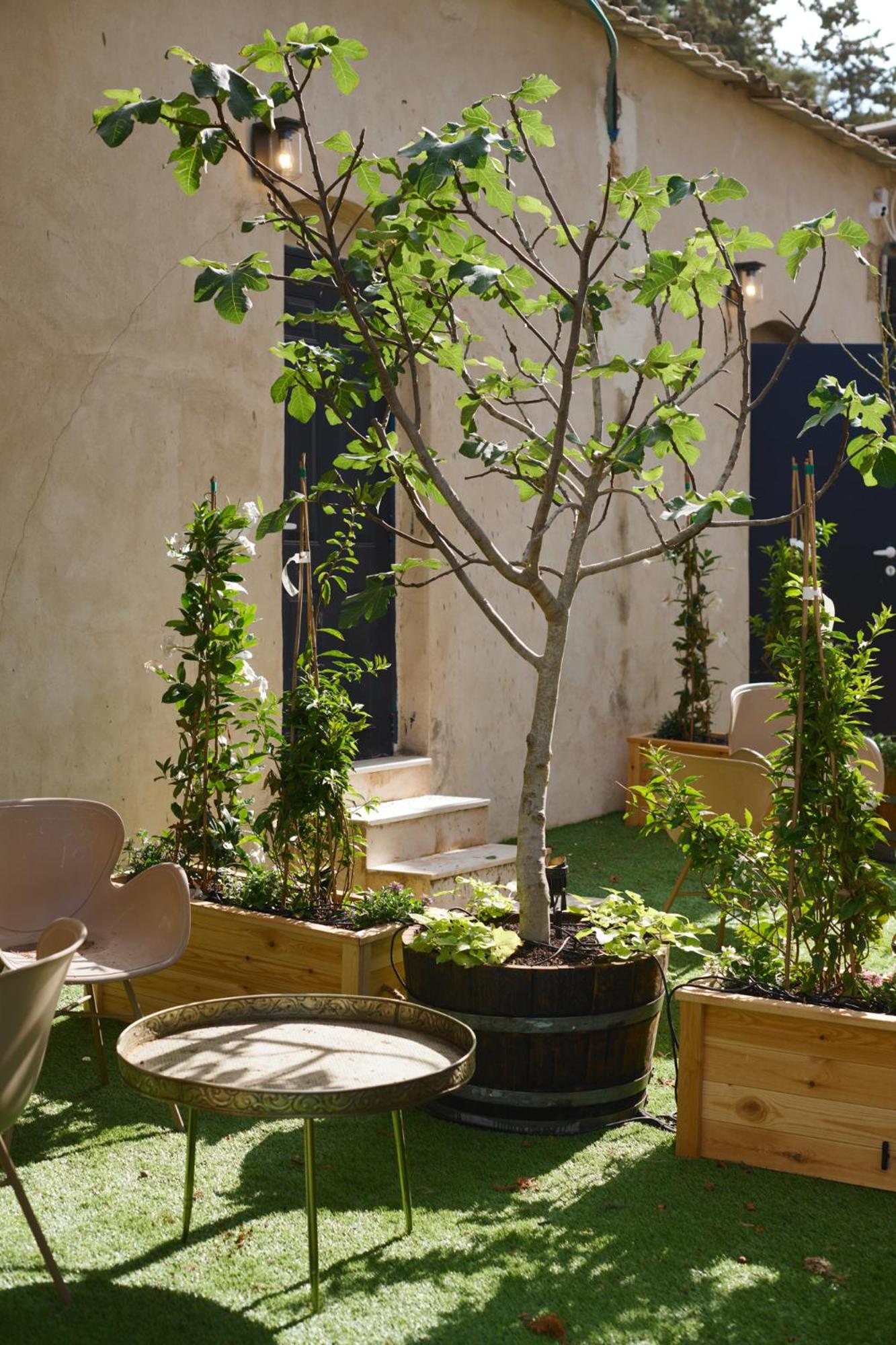 Alon Suite - Photo 5
