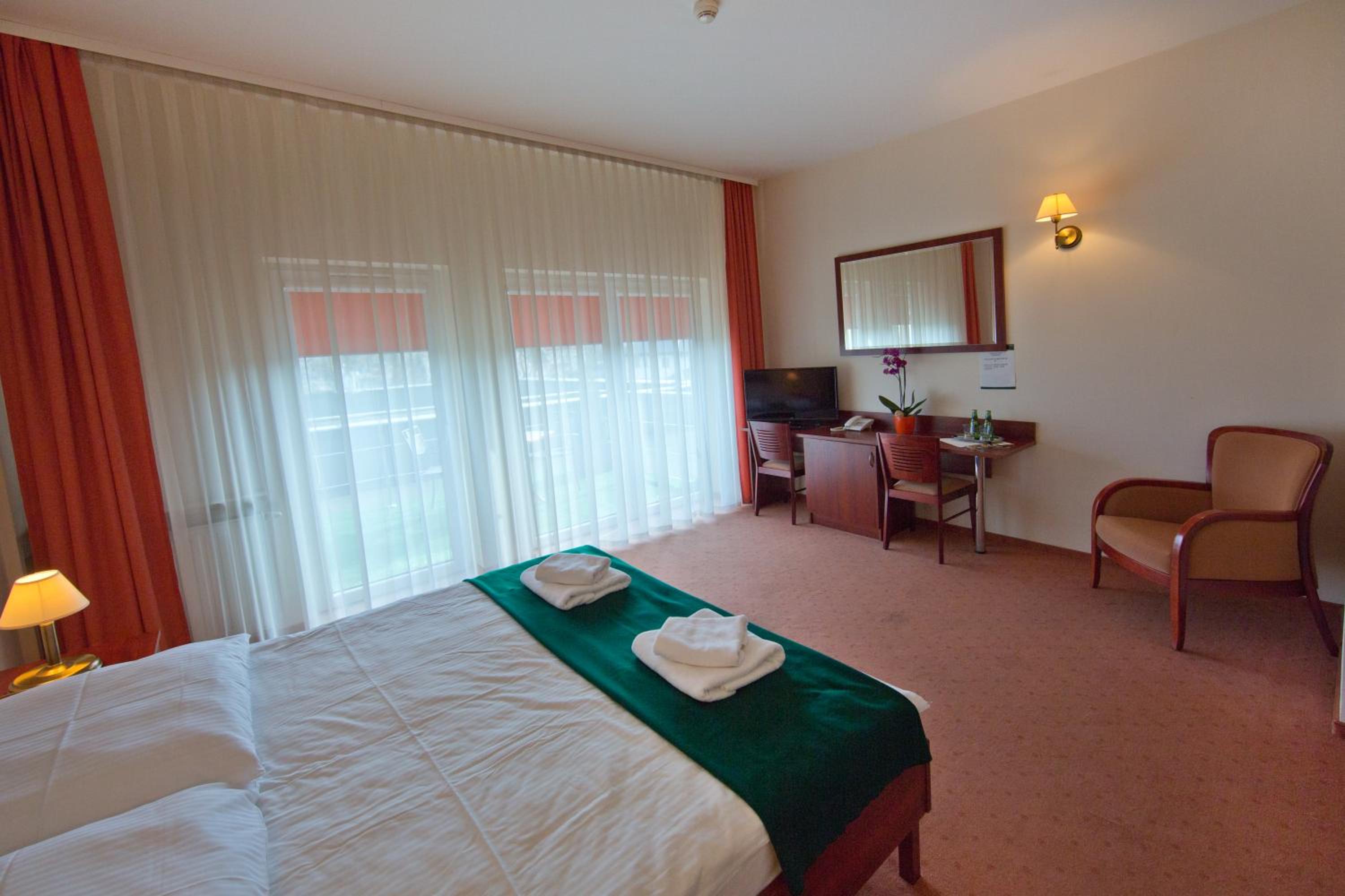 Deluxe Double or Twin Room - Photo 4