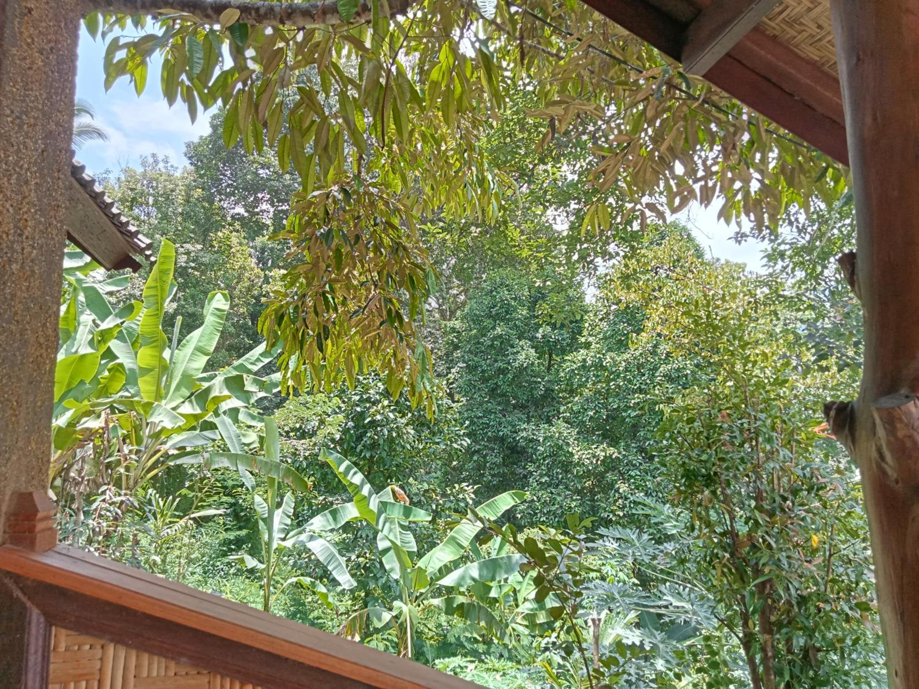 Bungalow with Patio - Photo 4