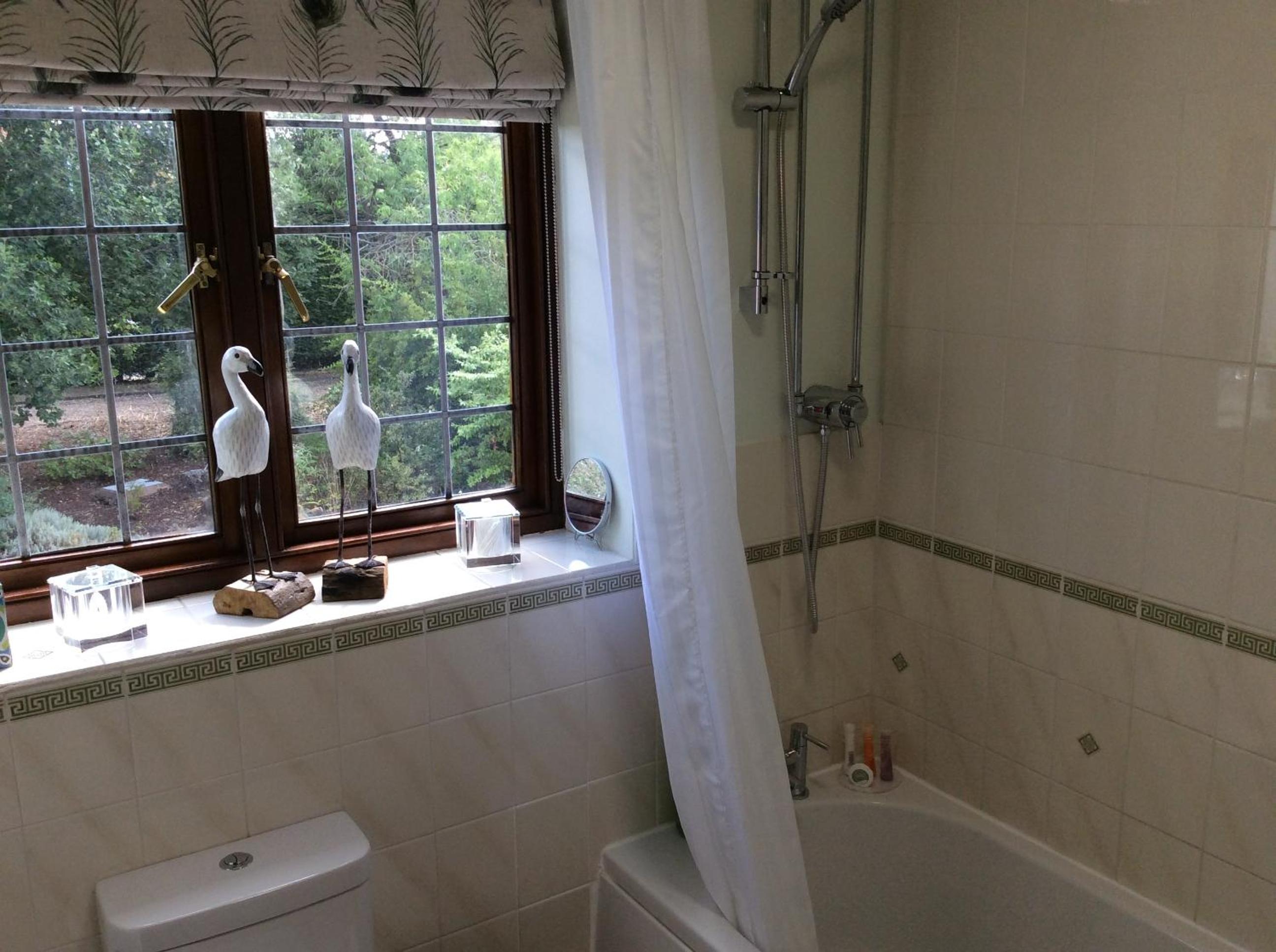 Superior Twin Room with Garden View photo 3