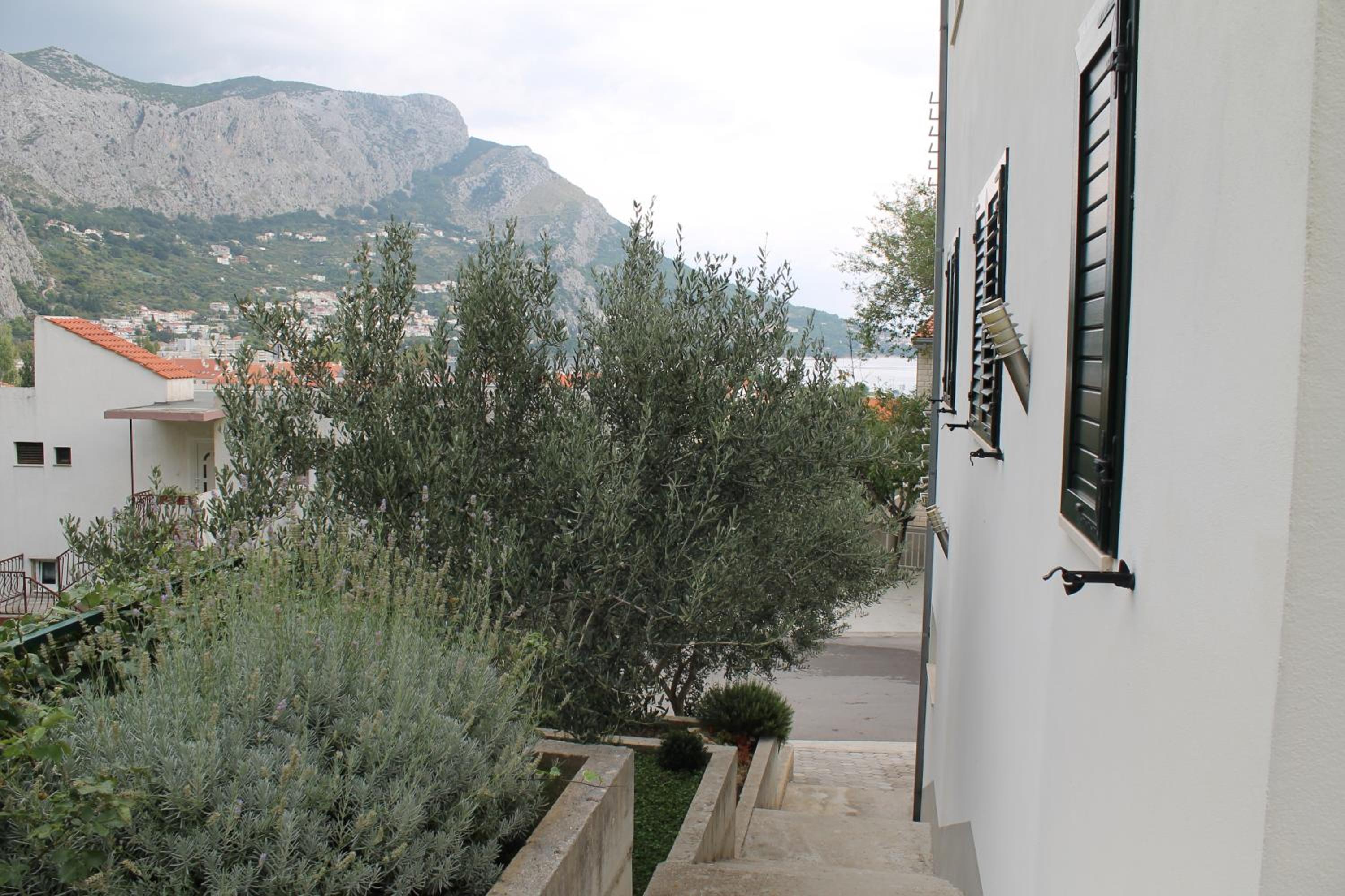 Apartment with Balcony photo 1