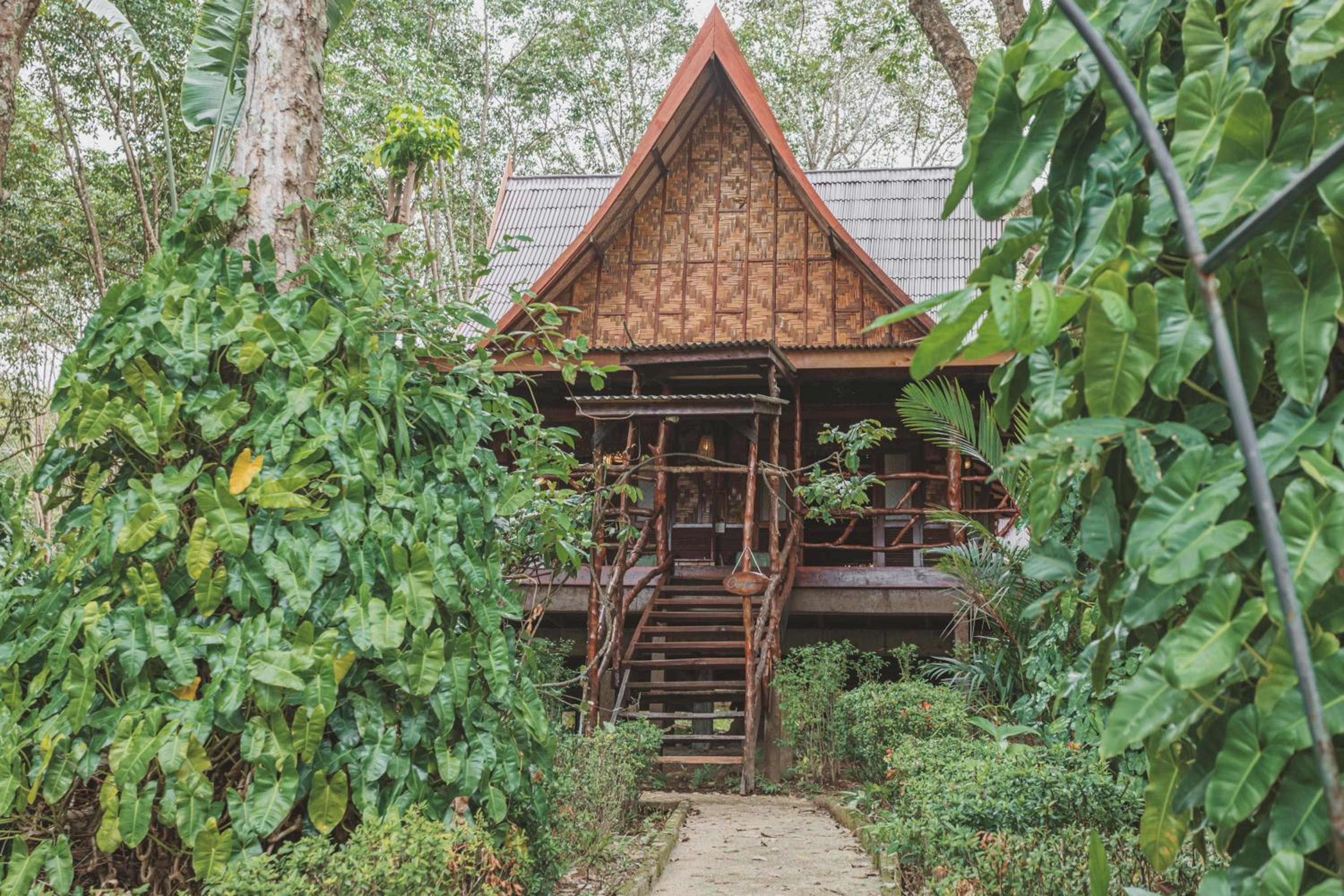 Orchid Villa photo 3
