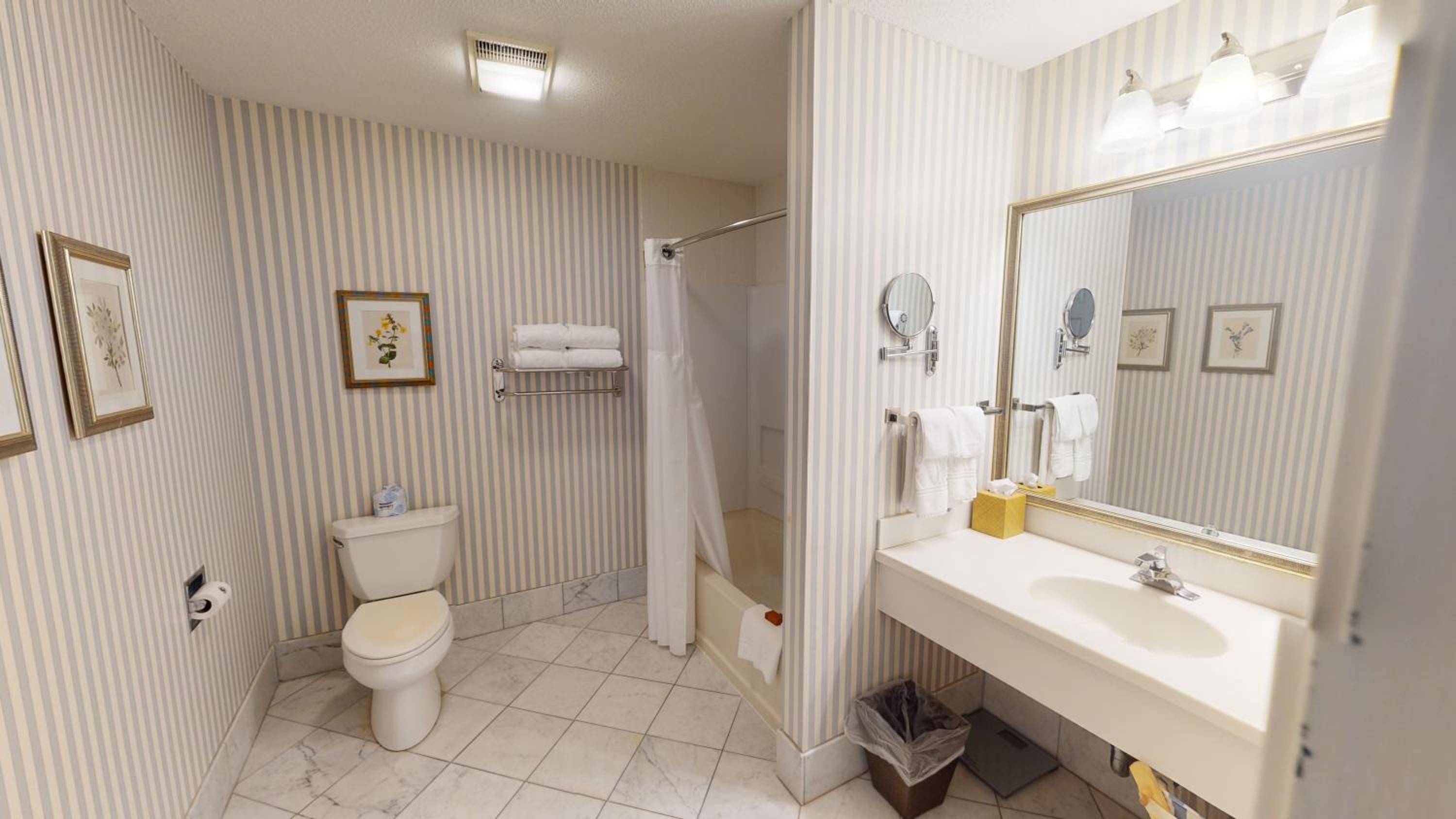 King Suite - Photo 4