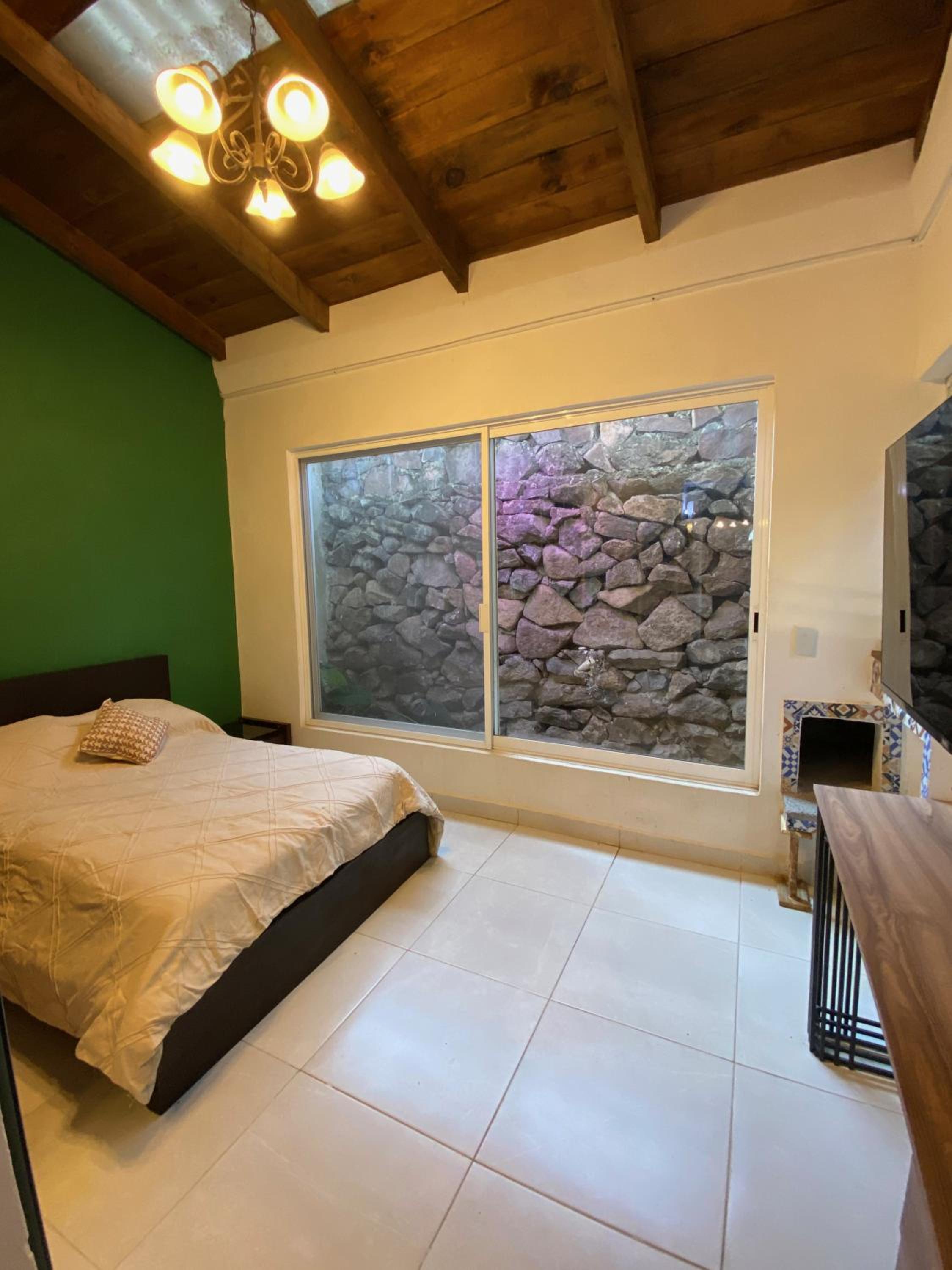 Studio with Garden View - Photo 1