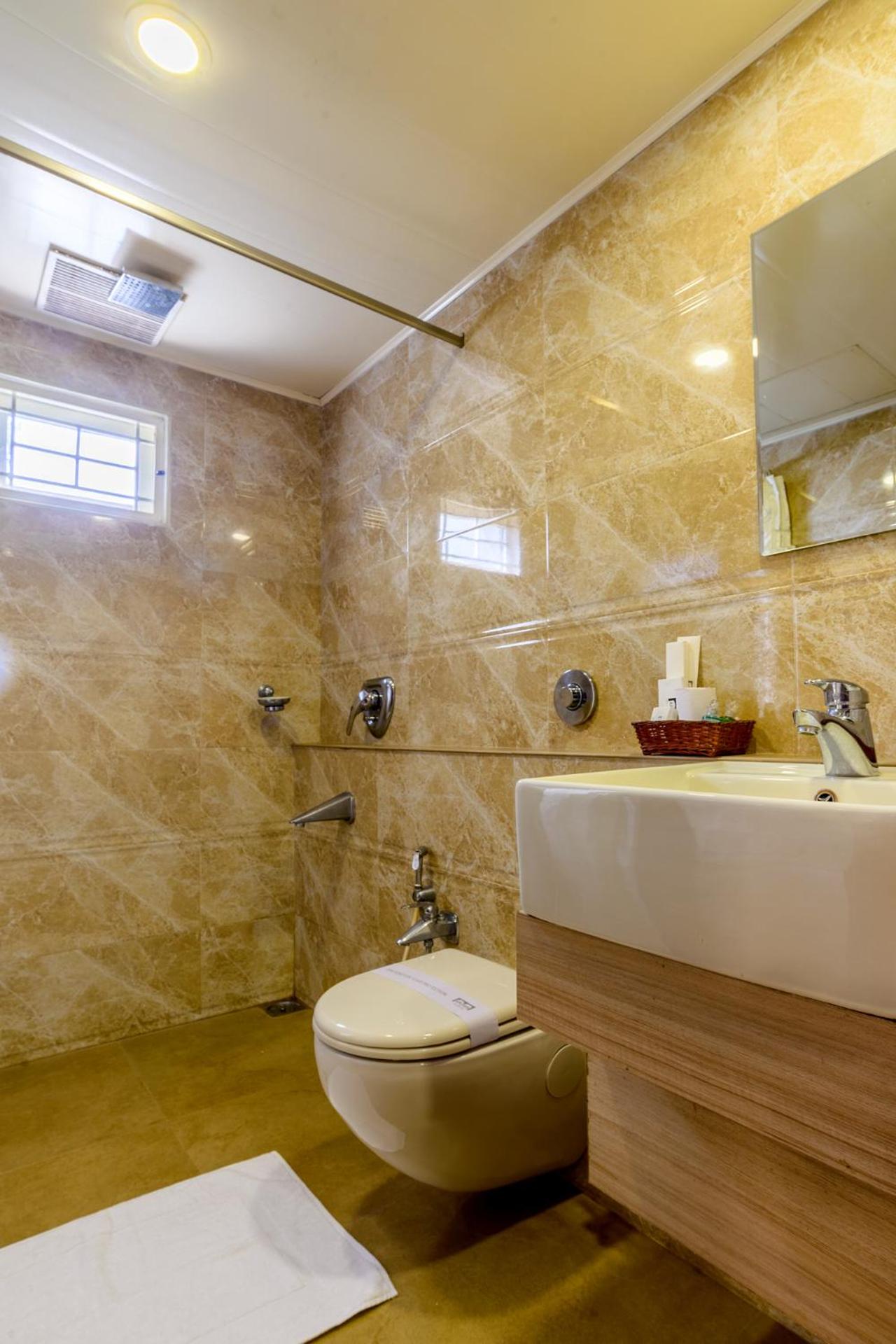 Deluxe Double or Twin Room photo 2