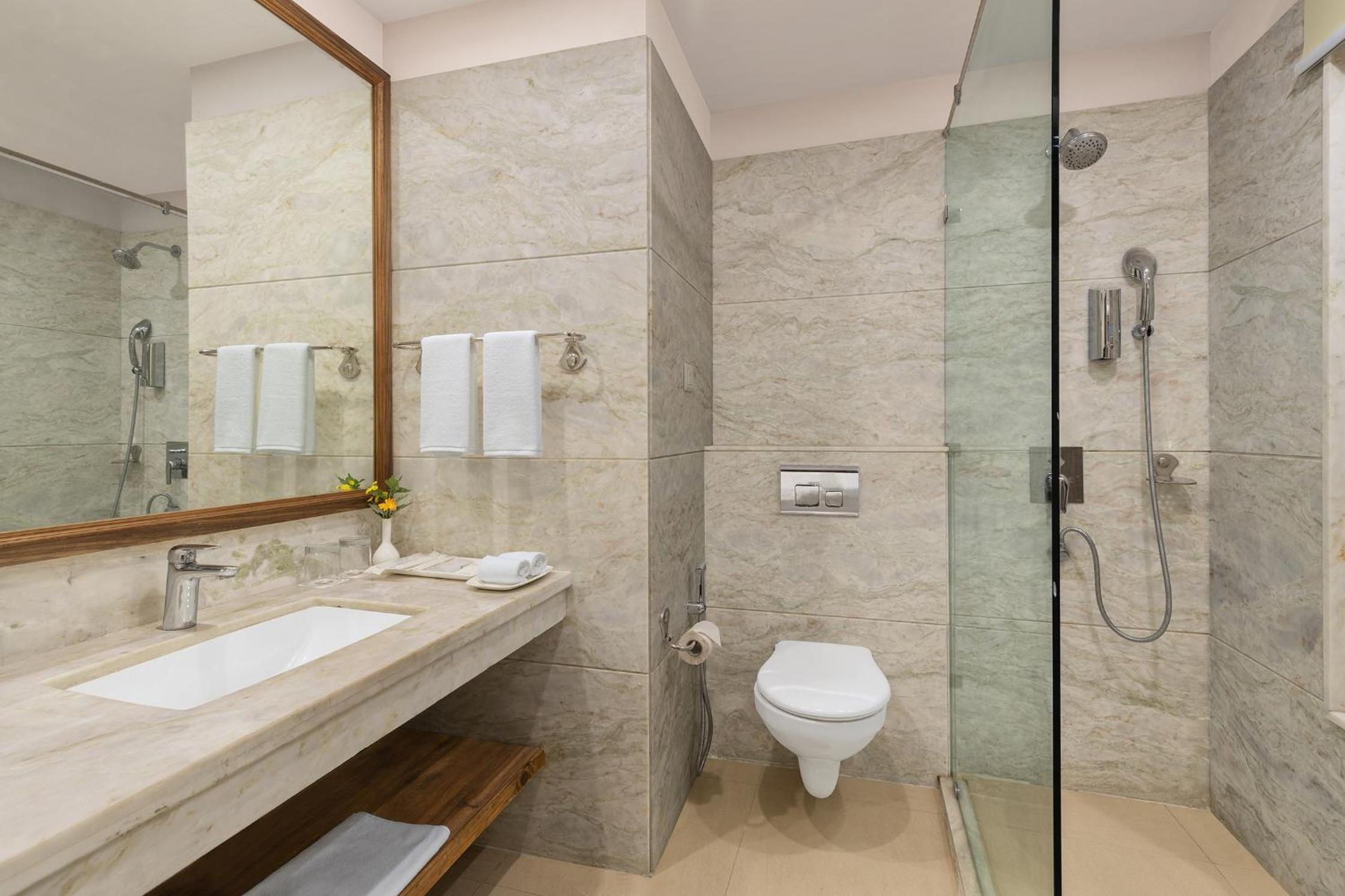 Deluxe Double or Twin Room with Mountain View photo 3
