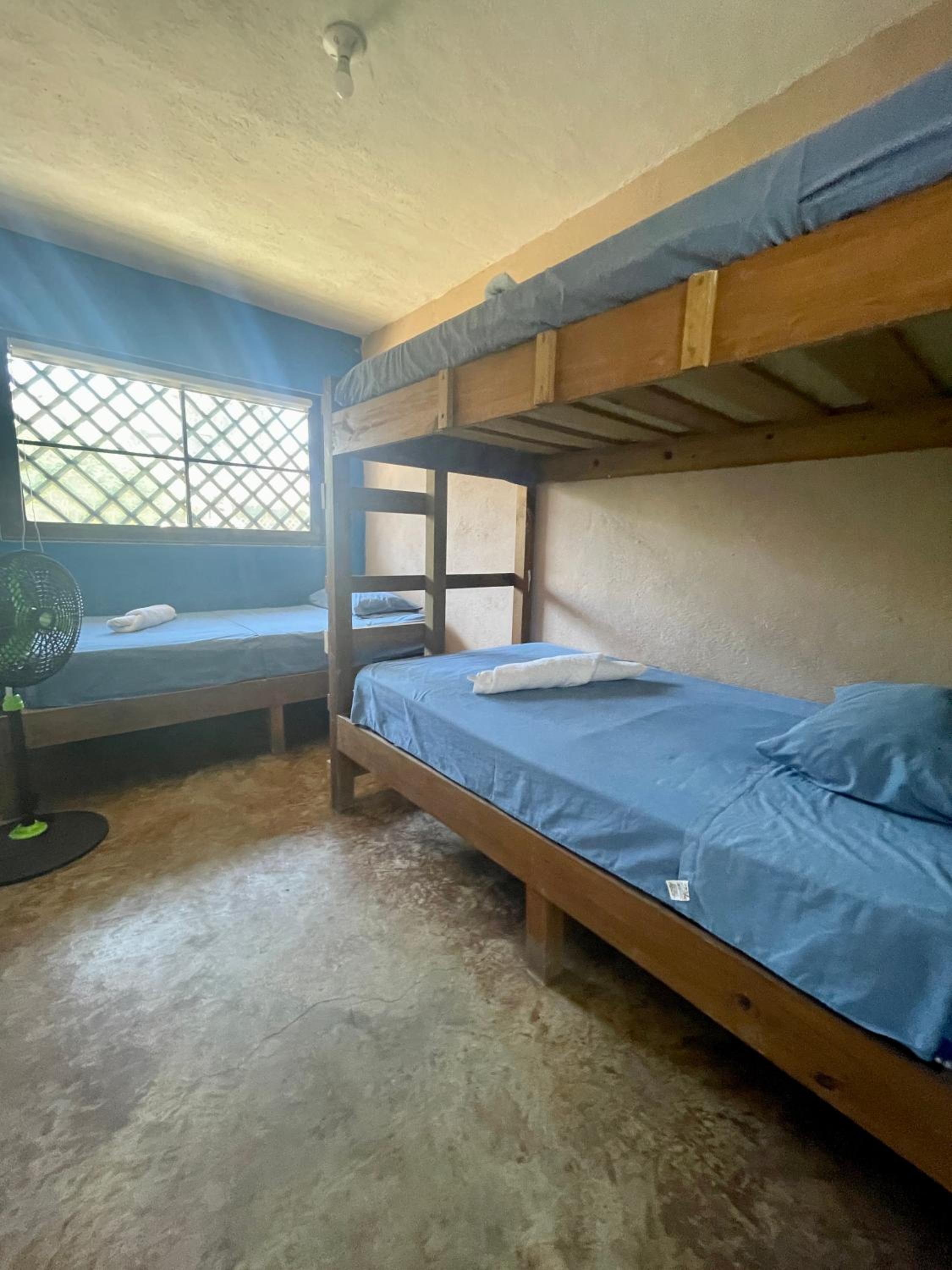 Triple Room photo 1