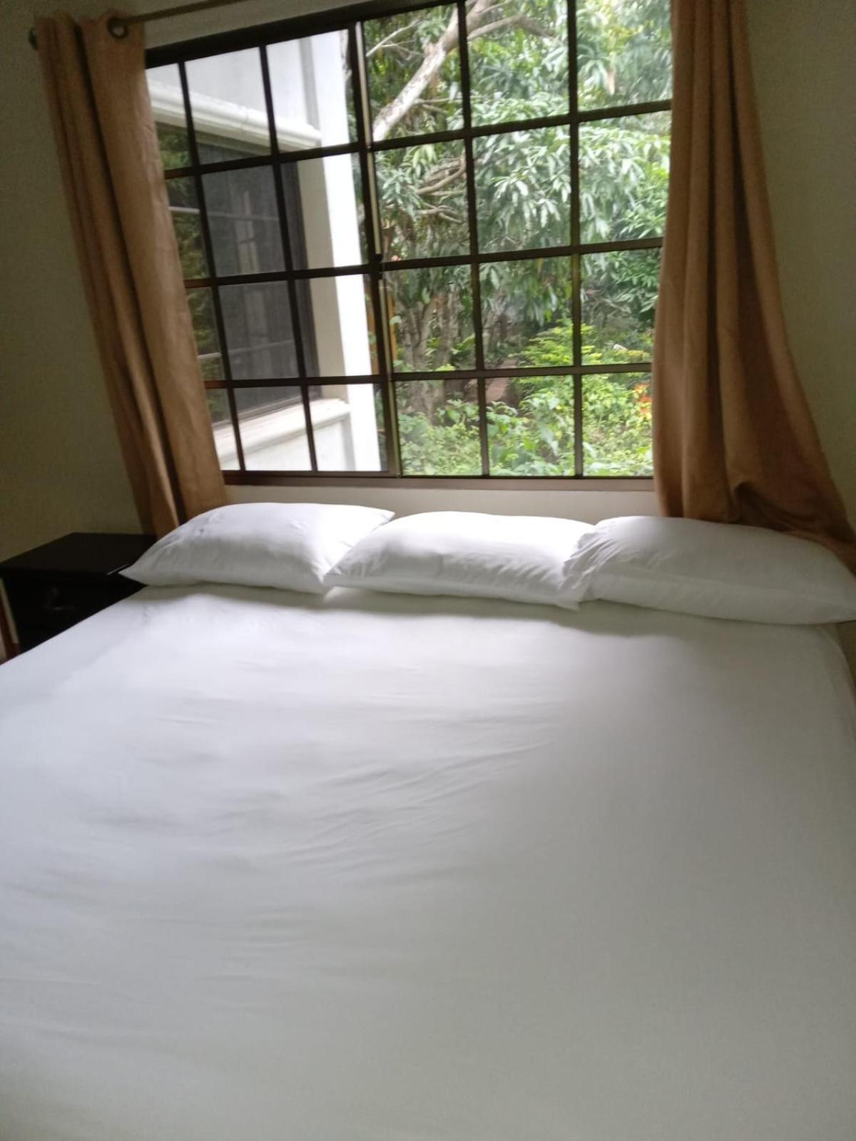 10-Bed Mixed Dormitory Room
