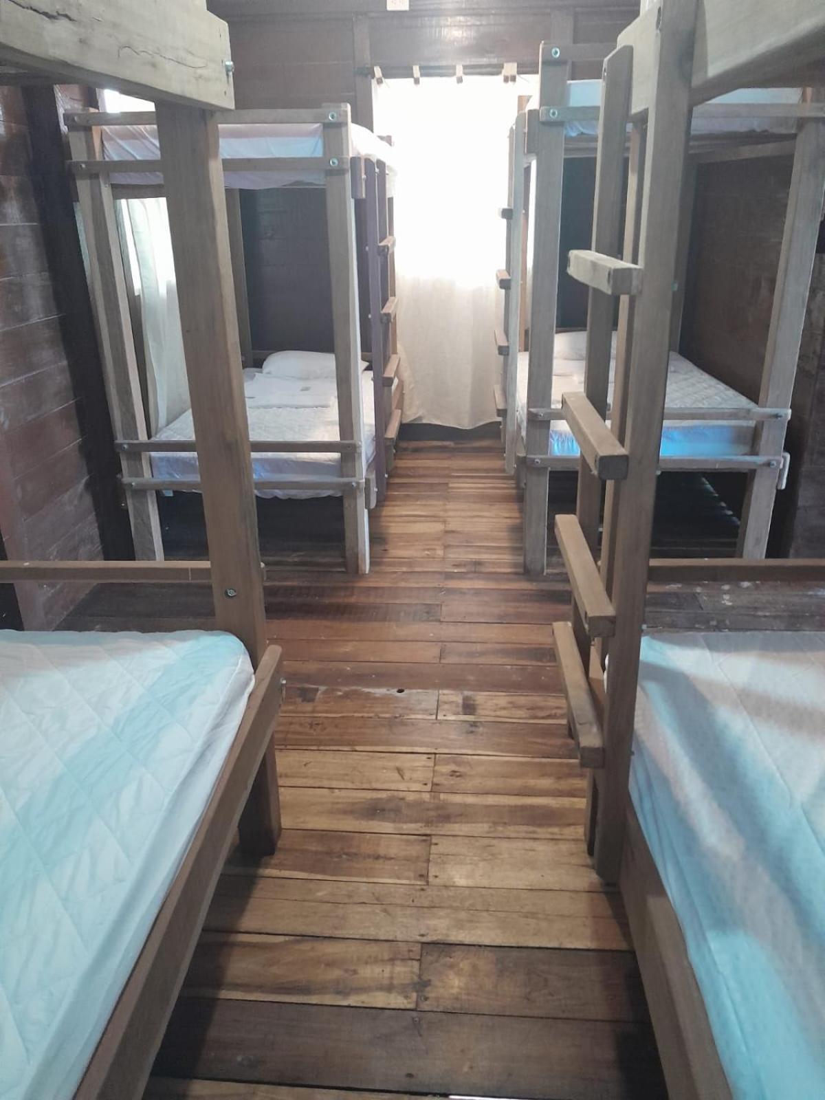 Single Bed In Mixed Dormitory Room photo 1
