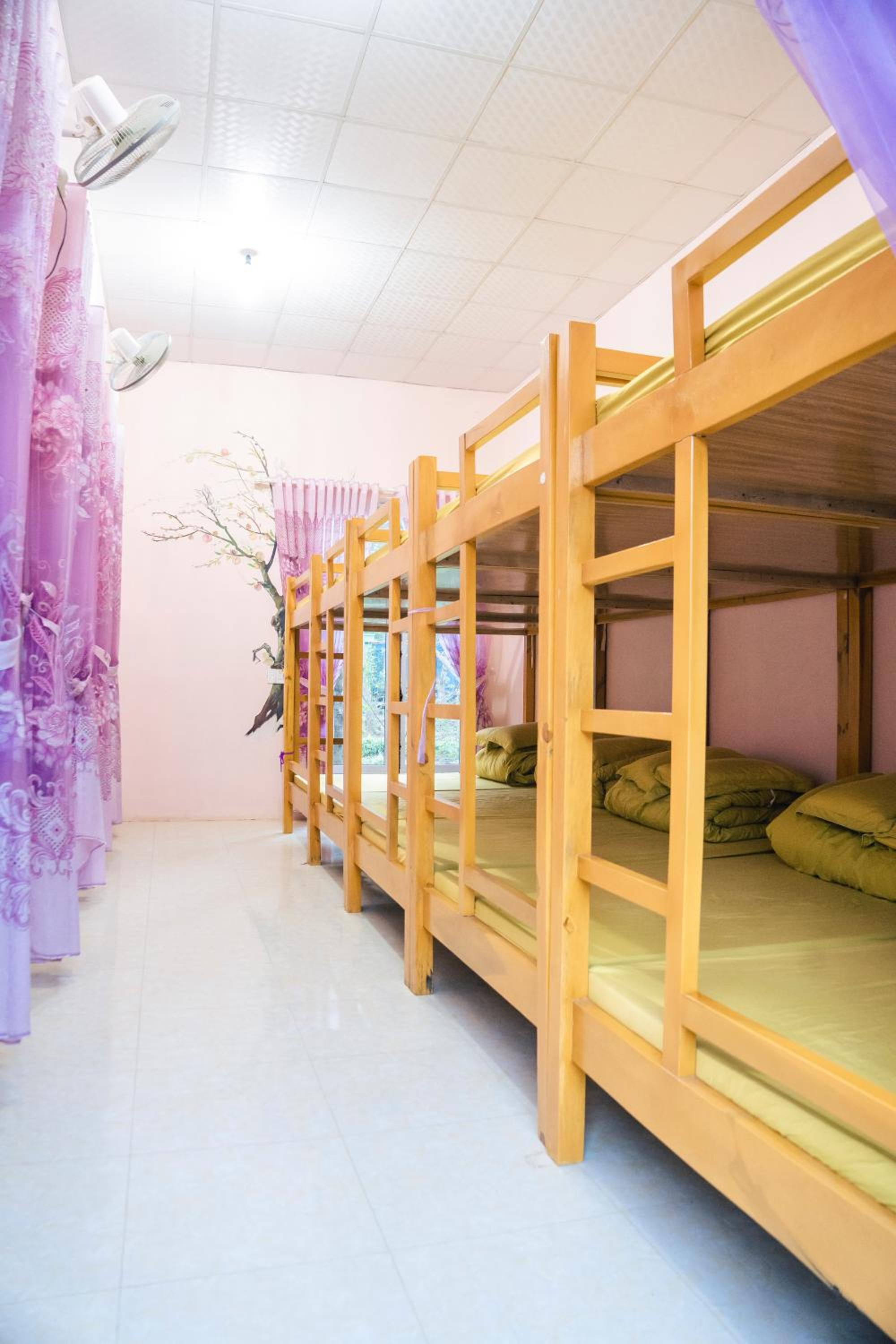 Single Bed In 10-Bed Dormitory Room photo 3