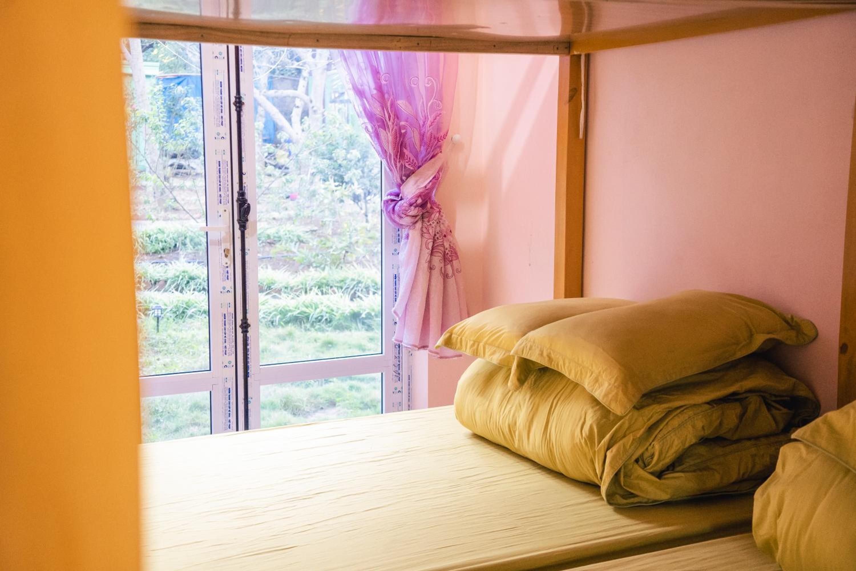 Single Bed In 10-Bed Dormitory Room photo 1