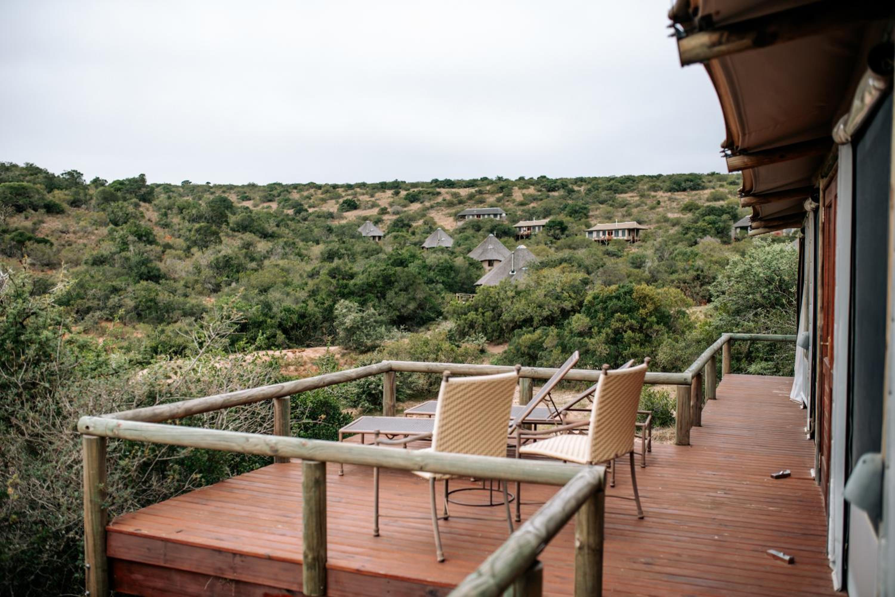 Luxury Safari Tent - Photo 8