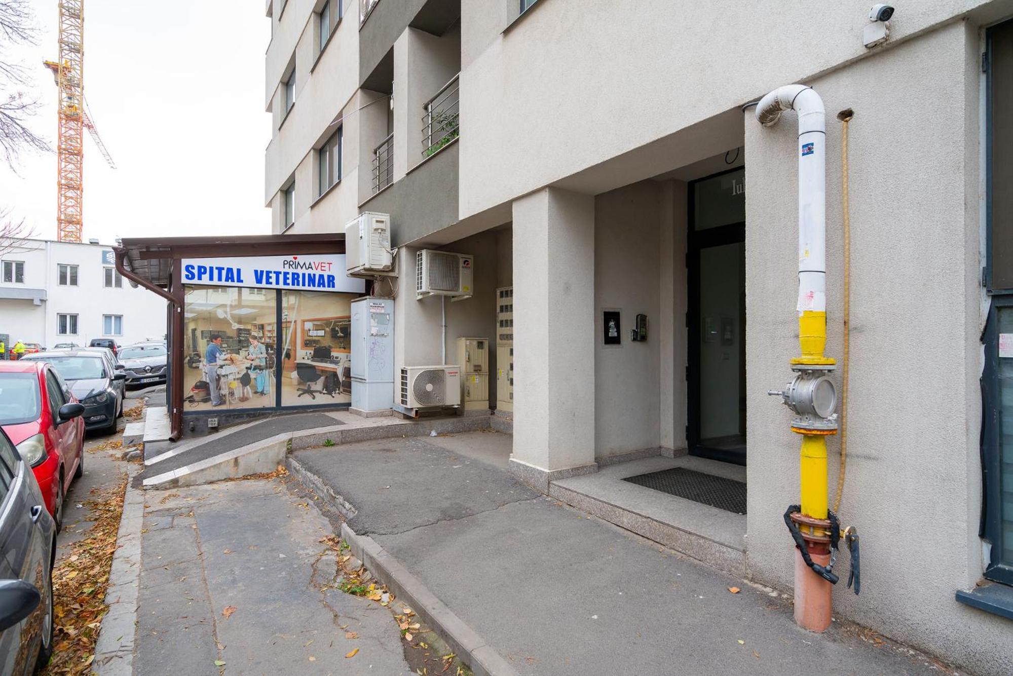 Studio Apartment - Photo 32