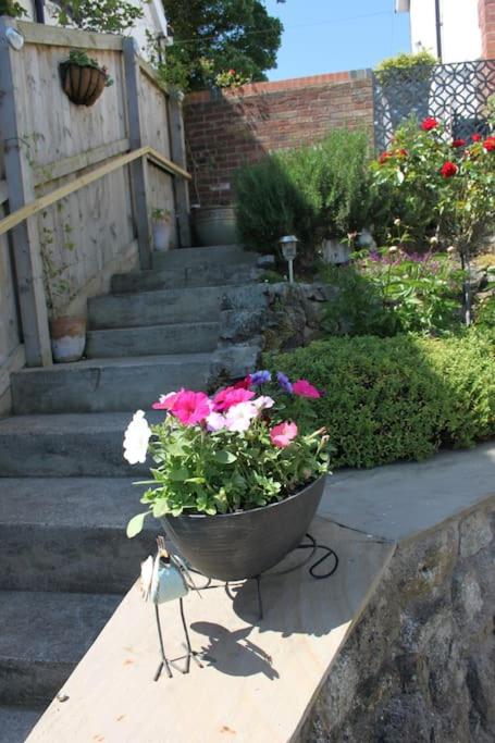 Studio with Garden View photo 2