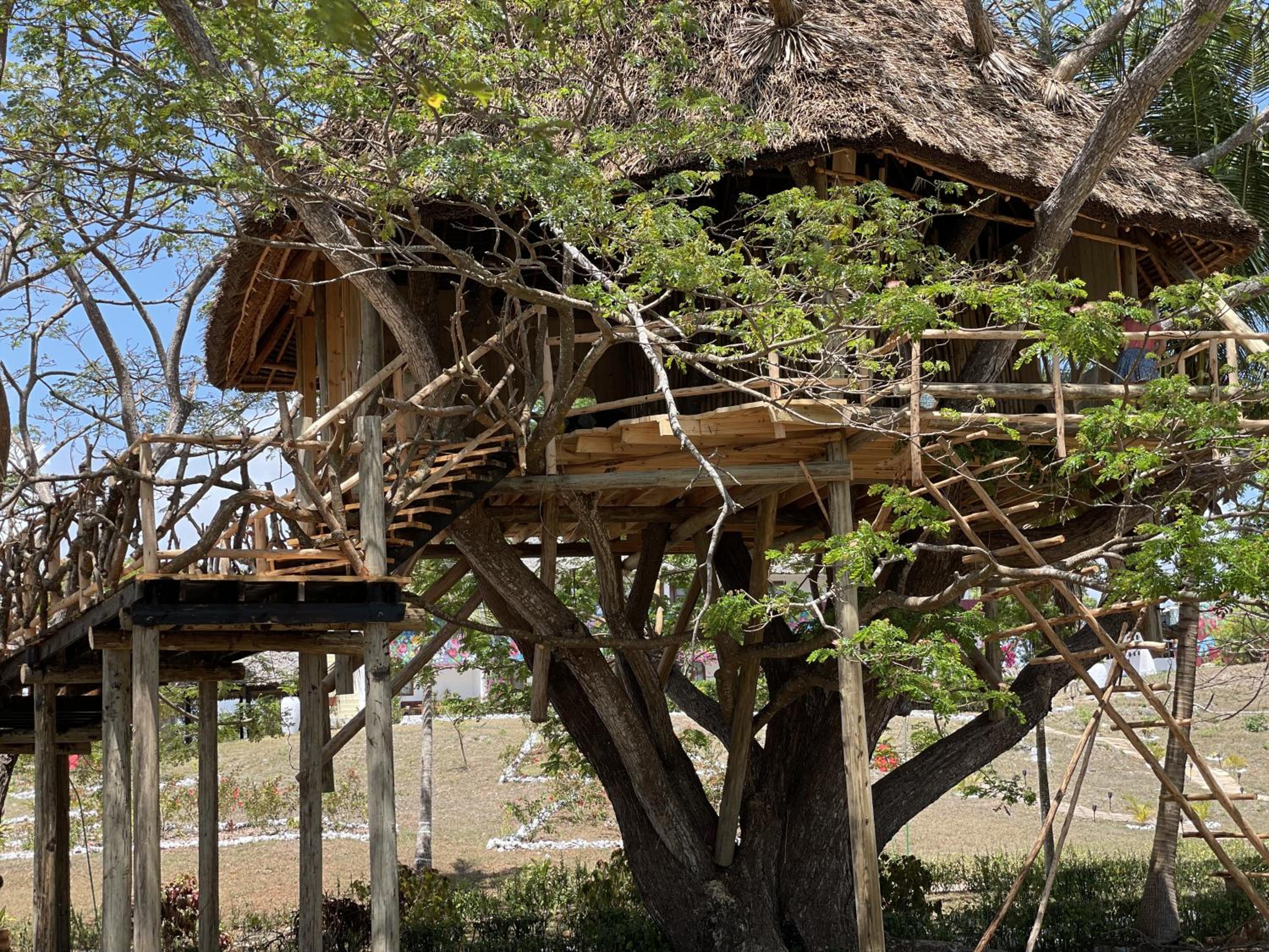 Tamarind Tree House