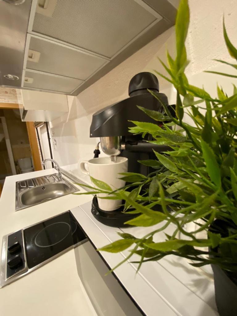 Apartment with Garden View - Photo 38