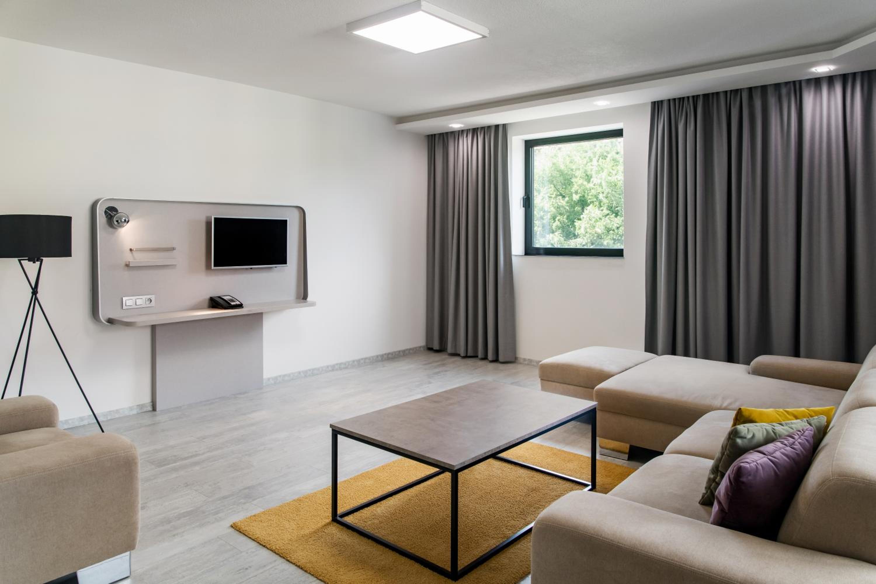 Suite - Photo 1