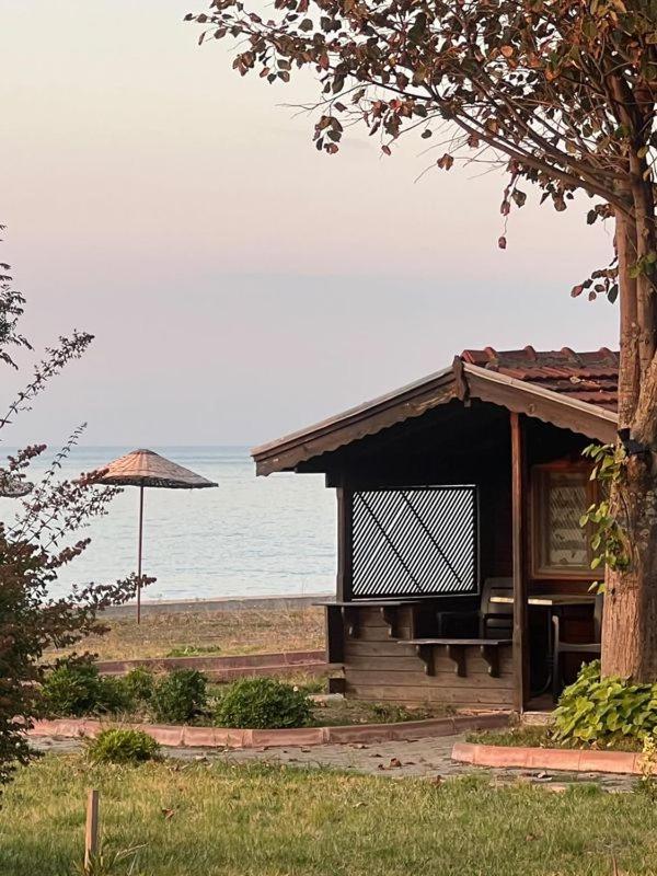 Bungalow - Beach Front photo 3