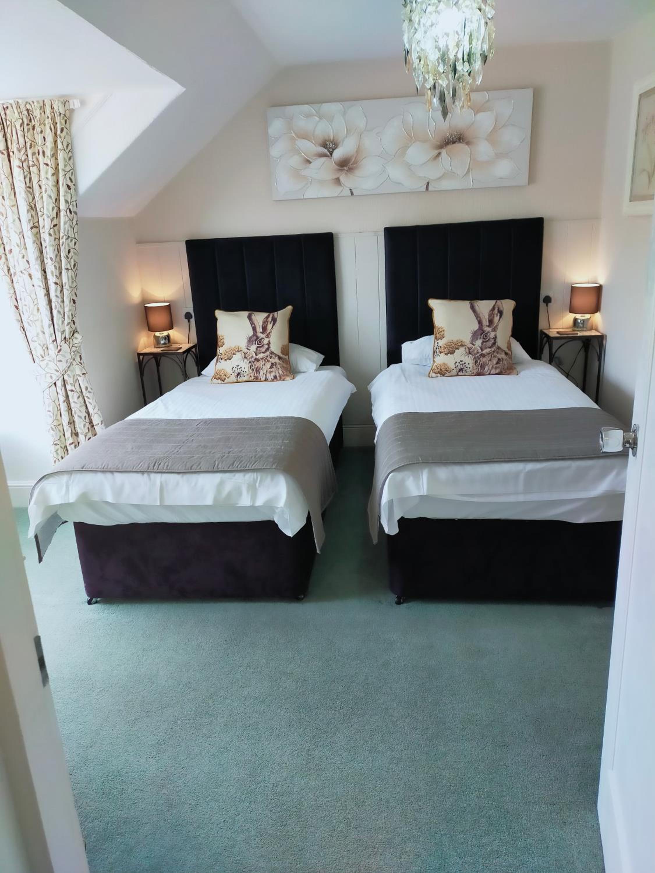 Standard Twin Room photo 2