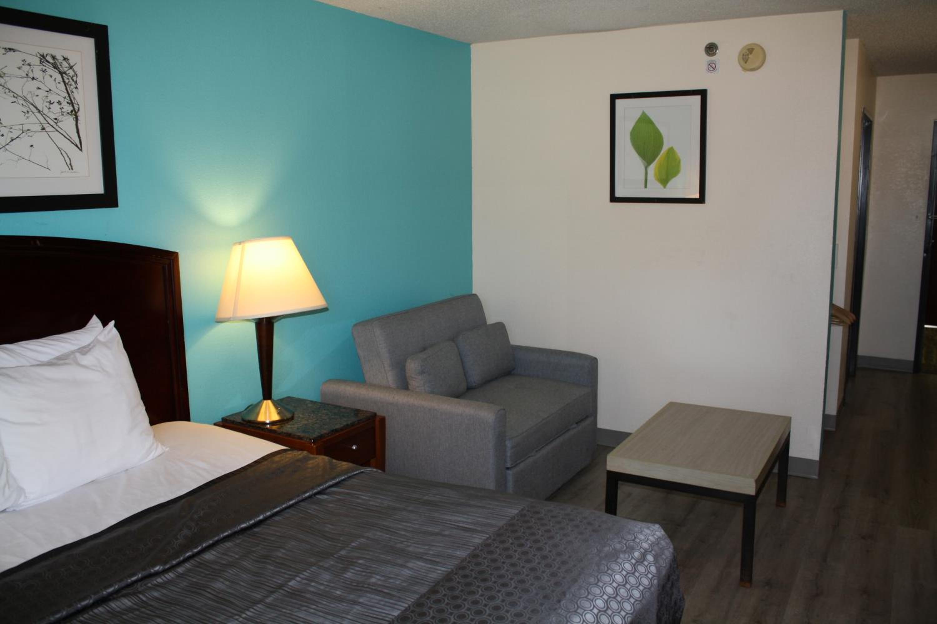 King Room - Disability Access photo 3