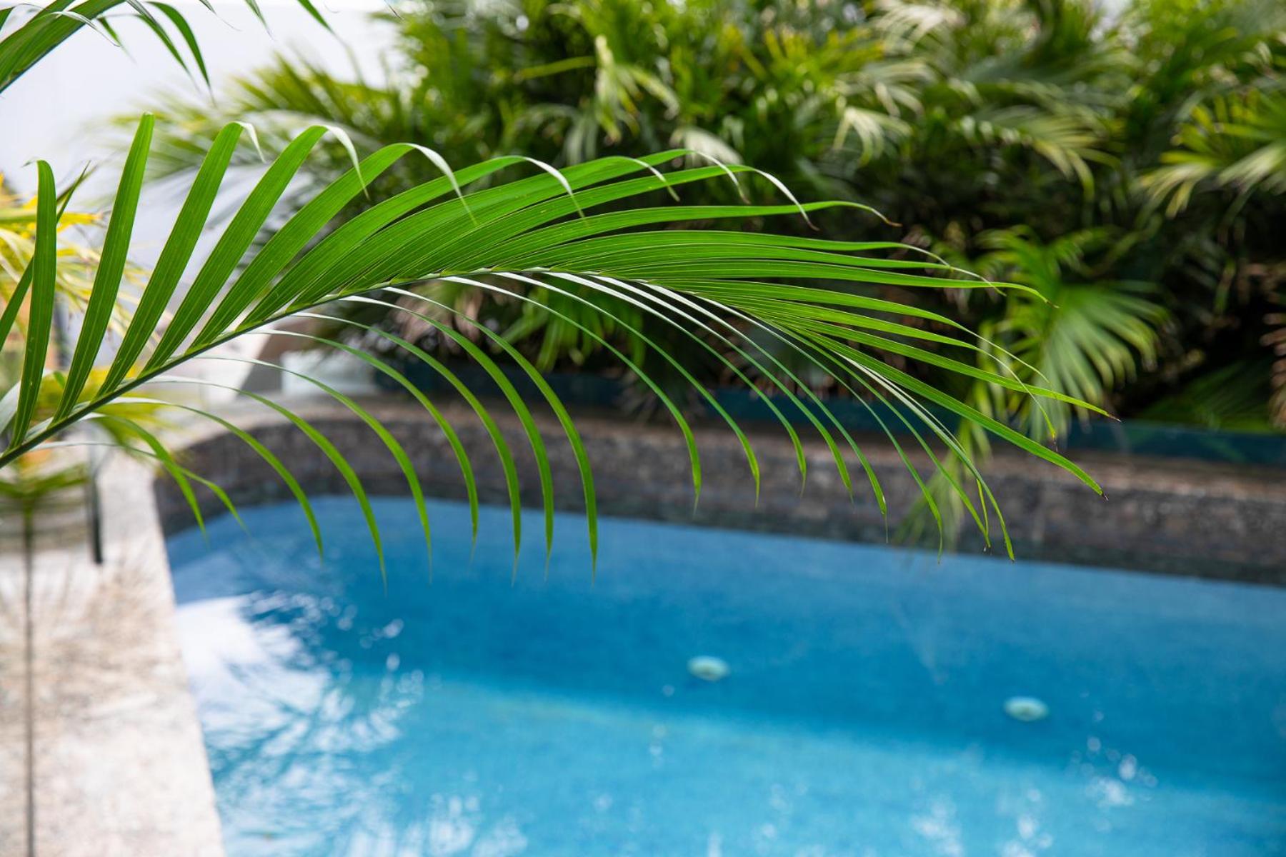 Studio with Plunge Pool - Beach Front - Photo 10