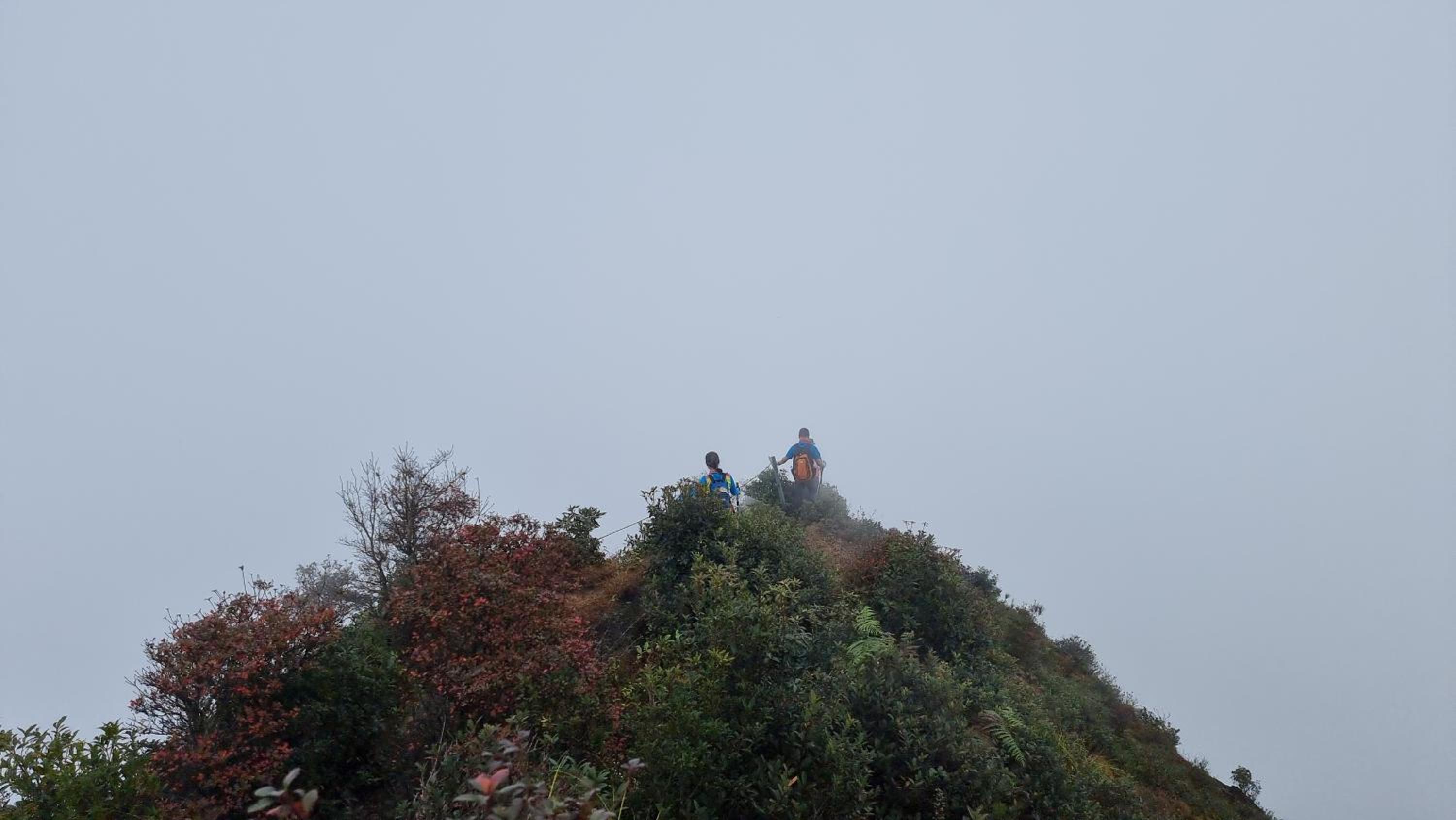 一卧室小屋