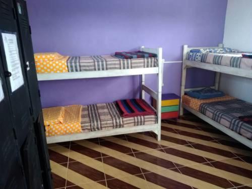 Bed in 6-Bed Dormitory Room photo 1