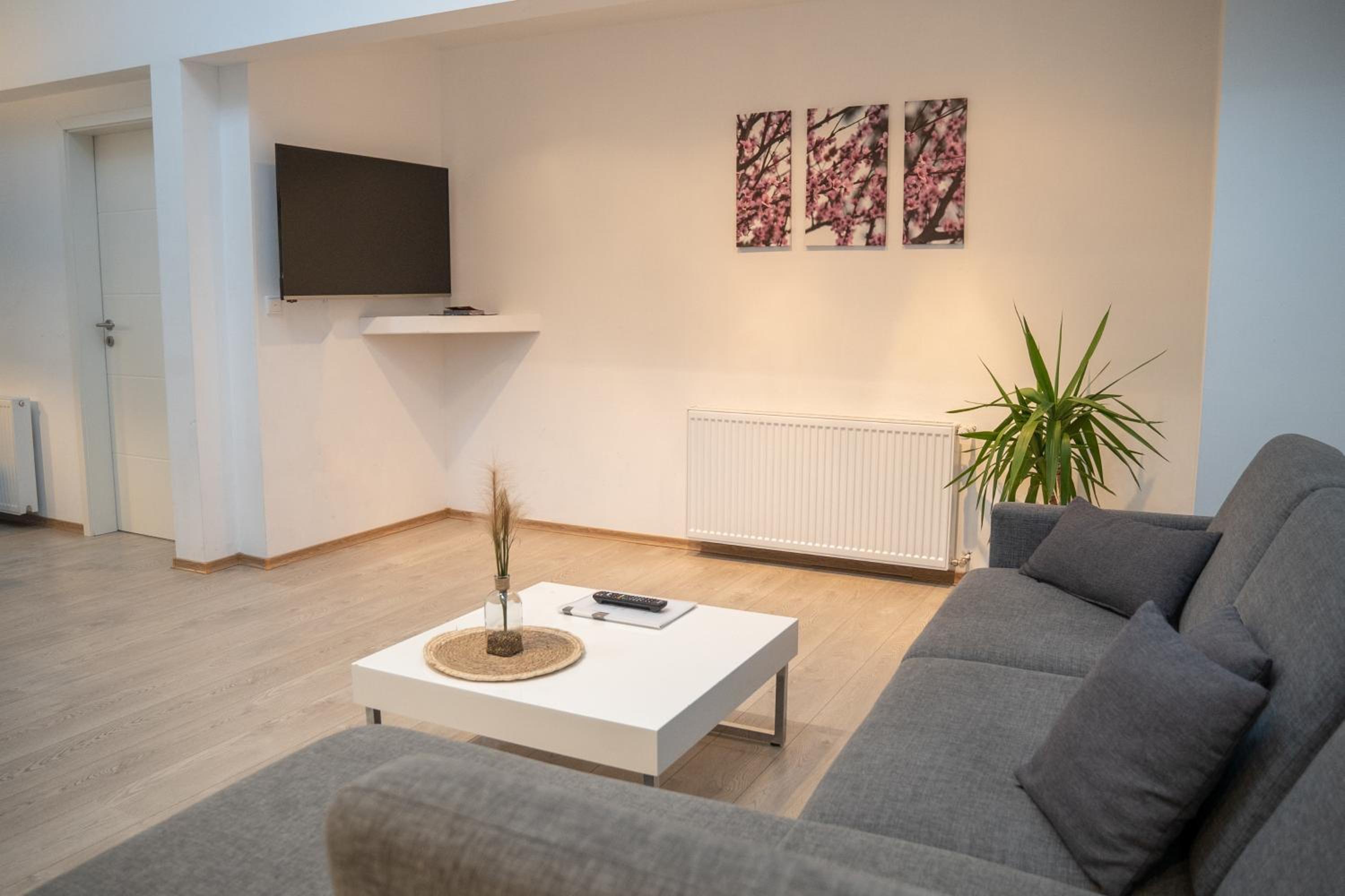 Superior Apartment