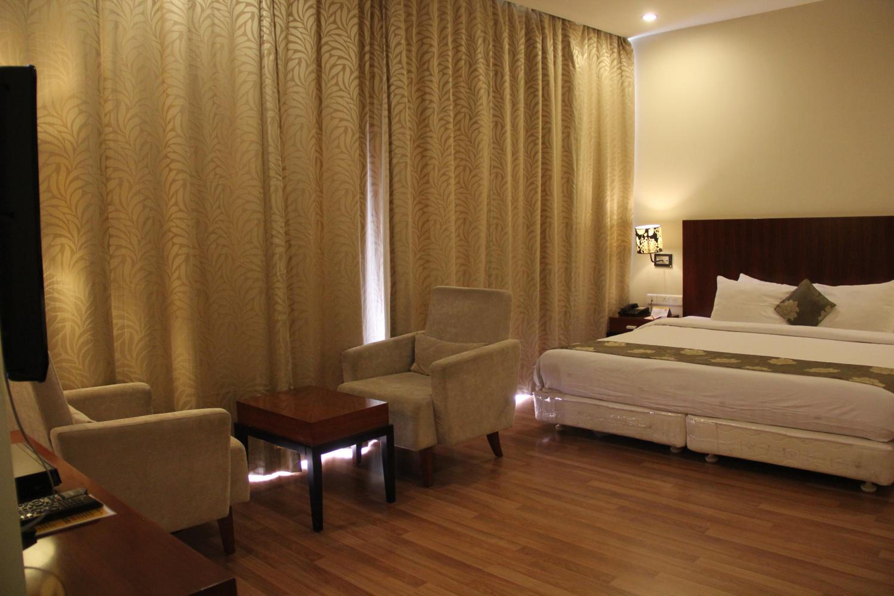 Suite - Photo 4