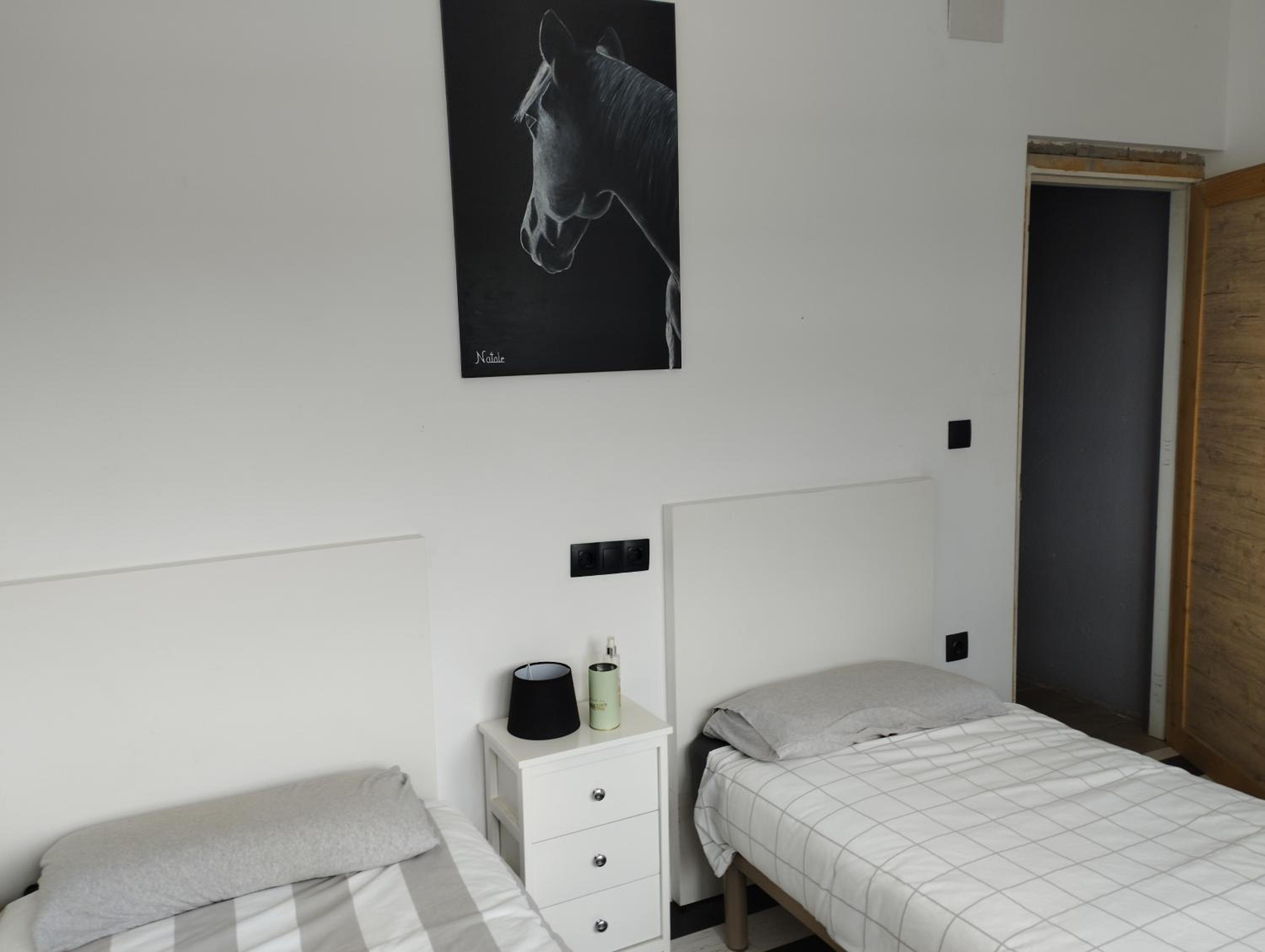 Single Bed in Mixed Dormitory Room photo 2