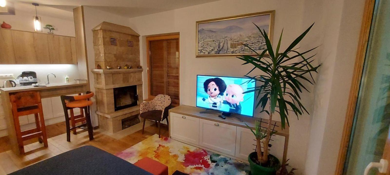 Studio Apartment photo 2