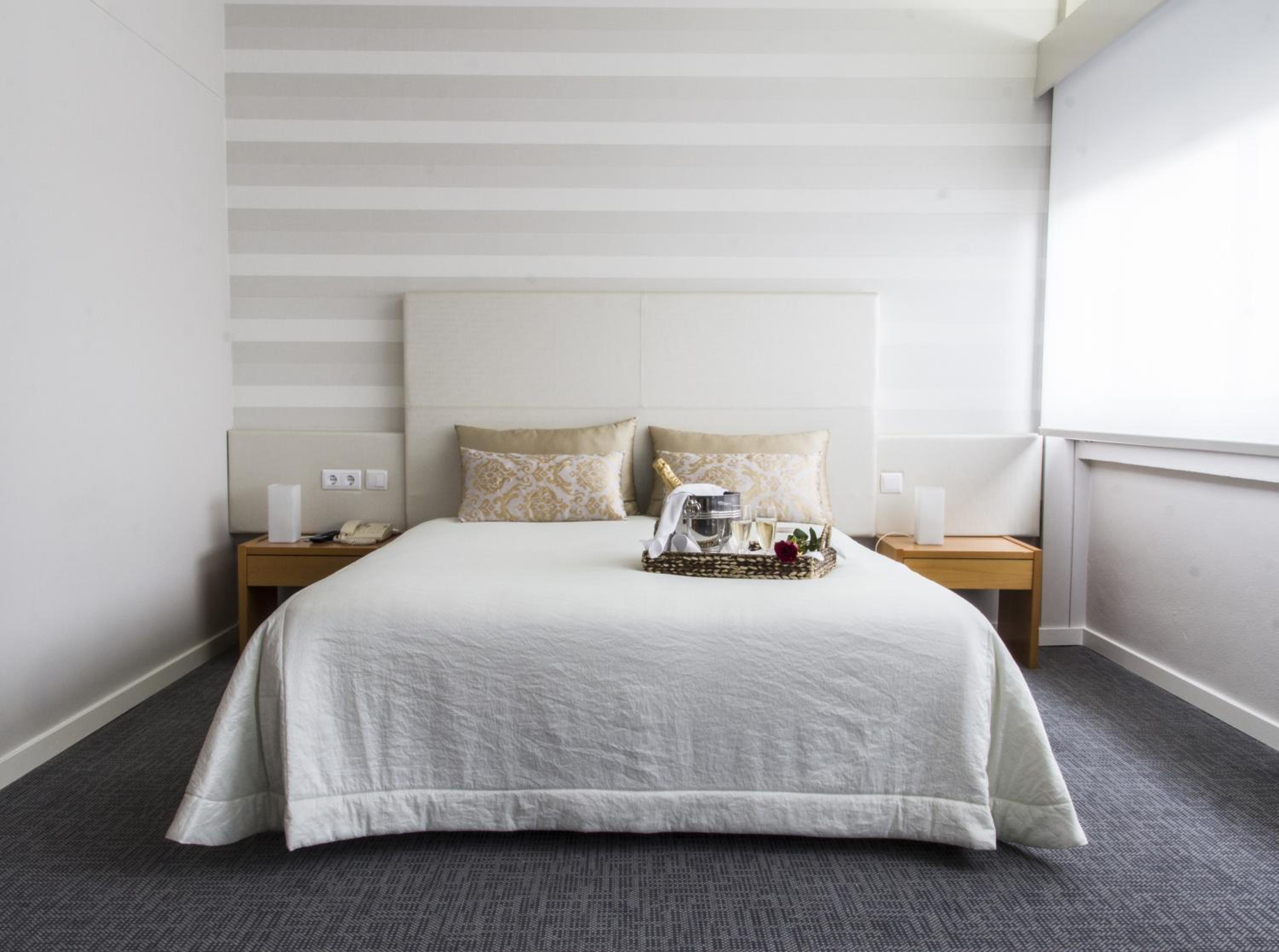 Suite - Photo 1