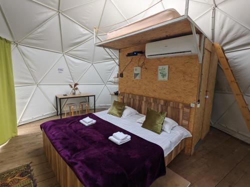 Tent photo 1