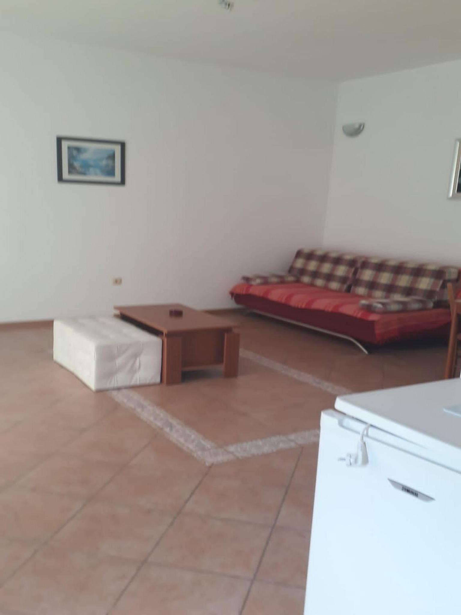 One Bedroom Apartment with Terrace photo 1
