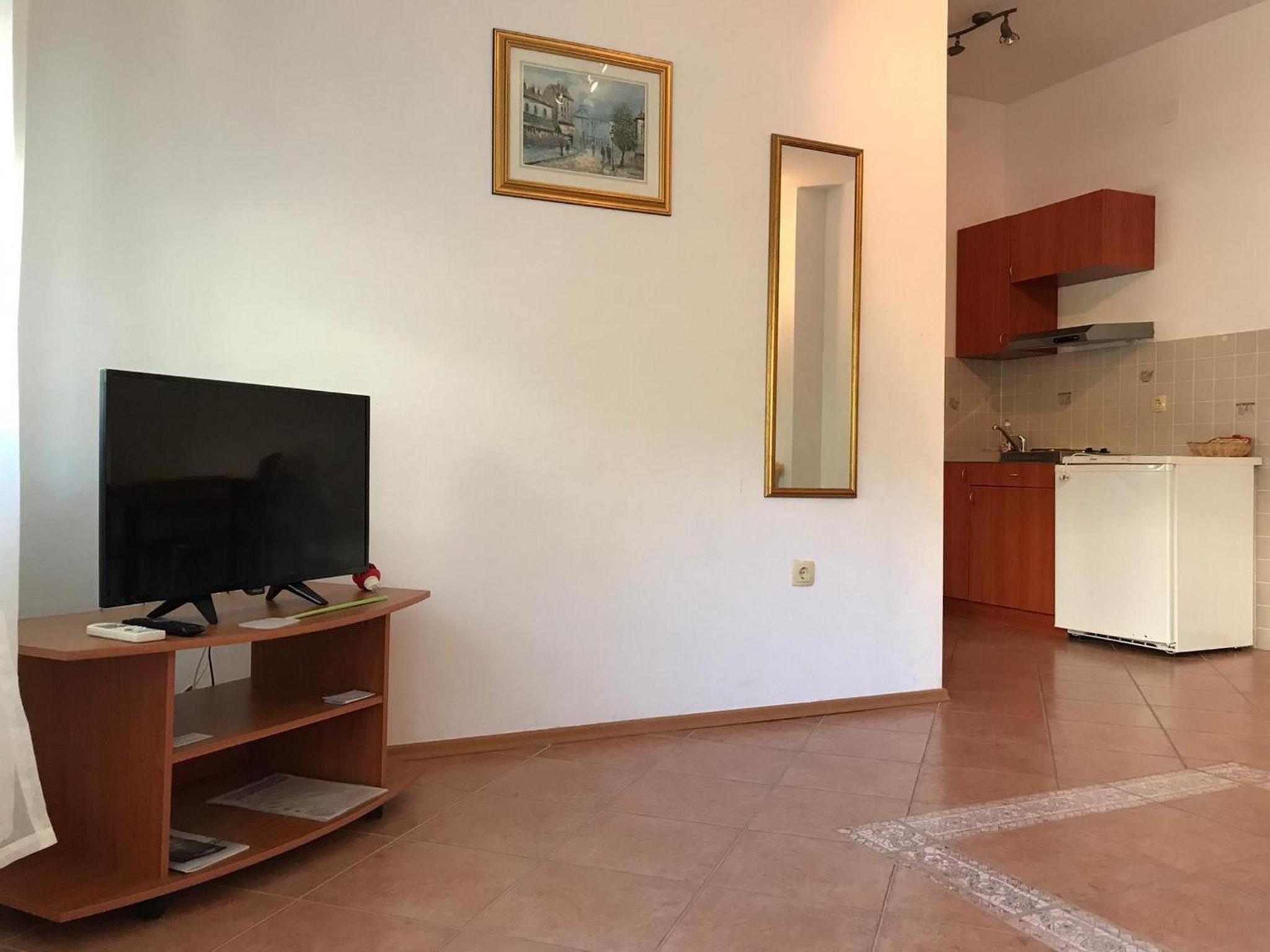 One-Bedroom Apartment with Terrace photo 2