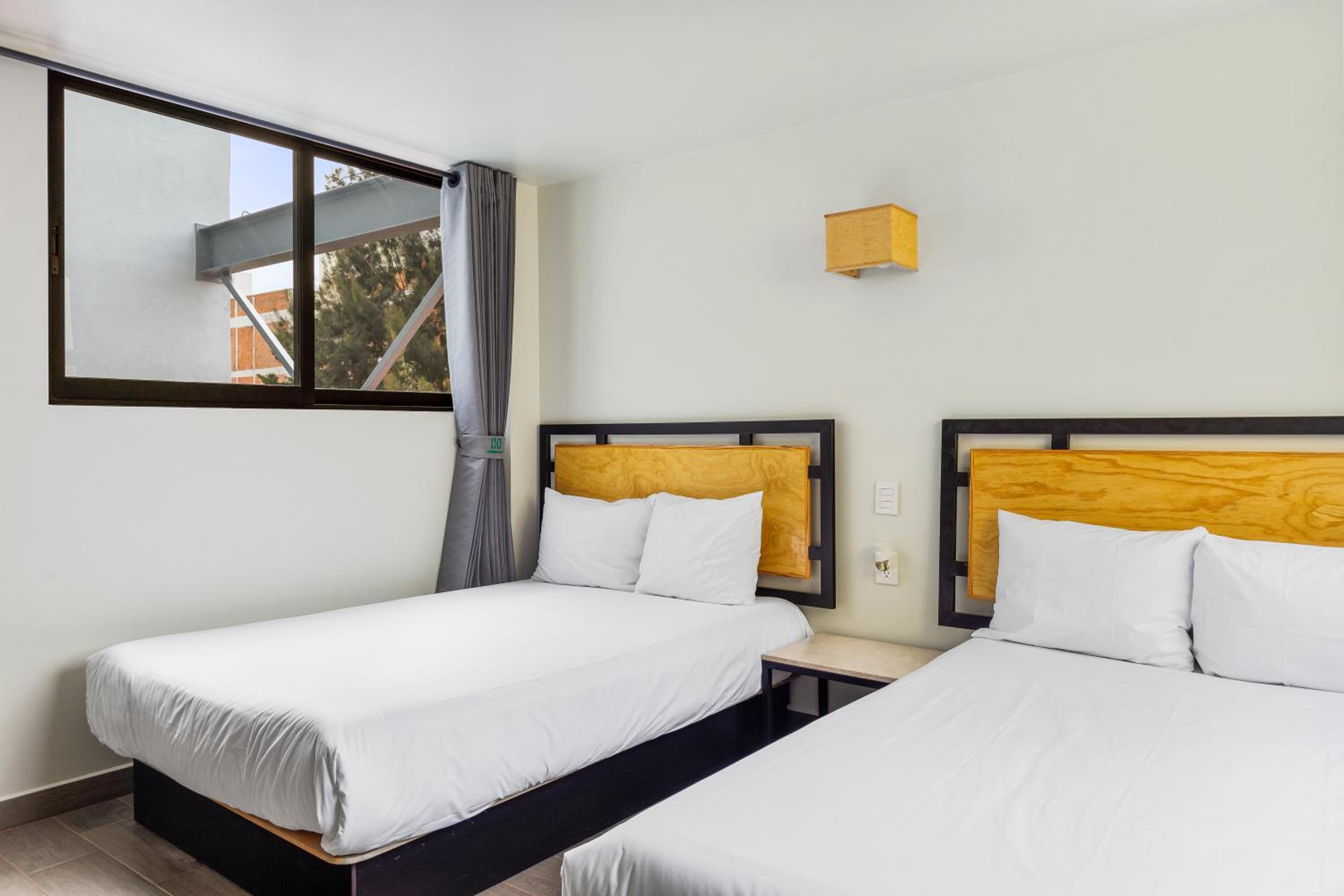 Duplex Suite - Photo 10
