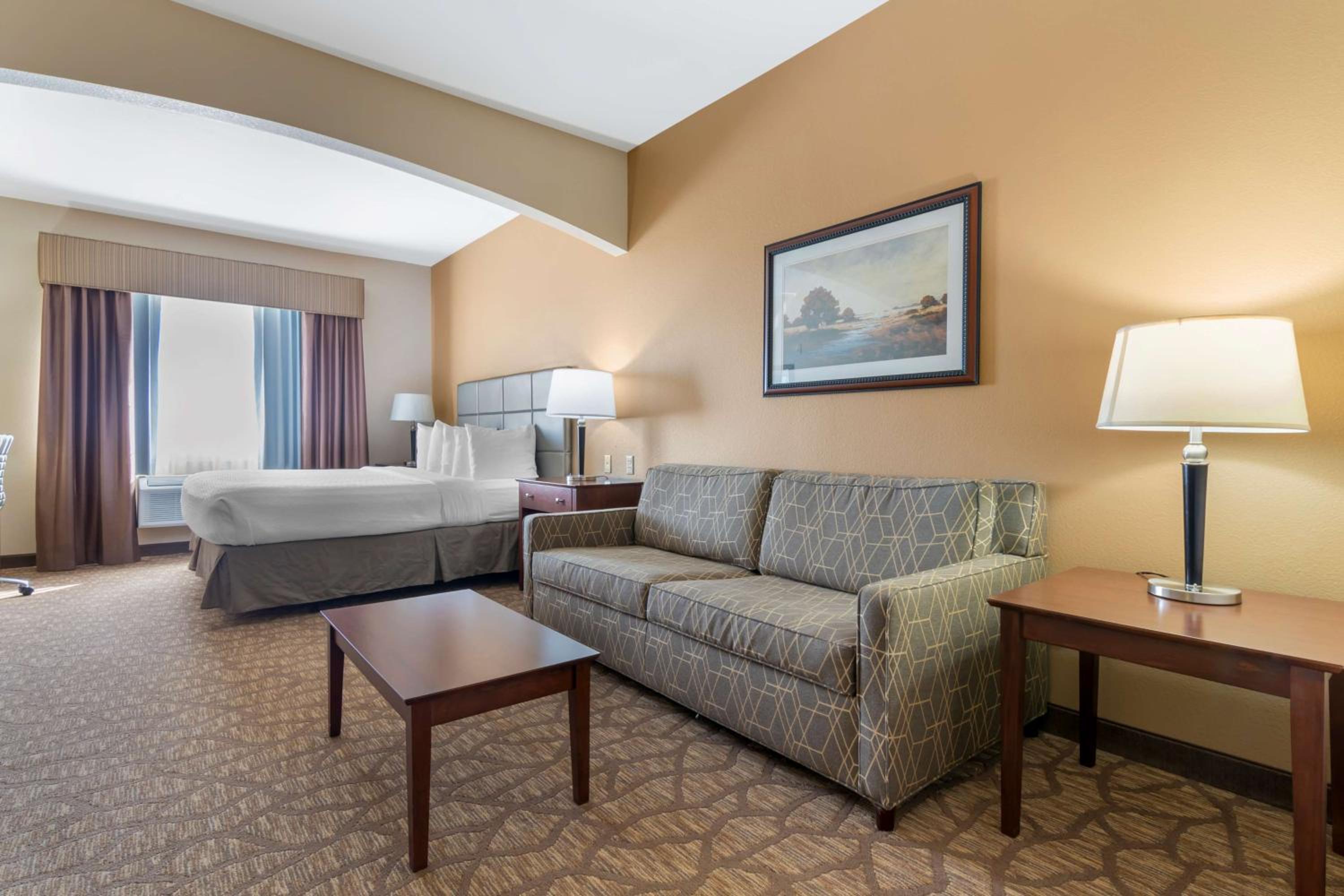 King Room - Pet Friendly/Non-Smoking photo 1