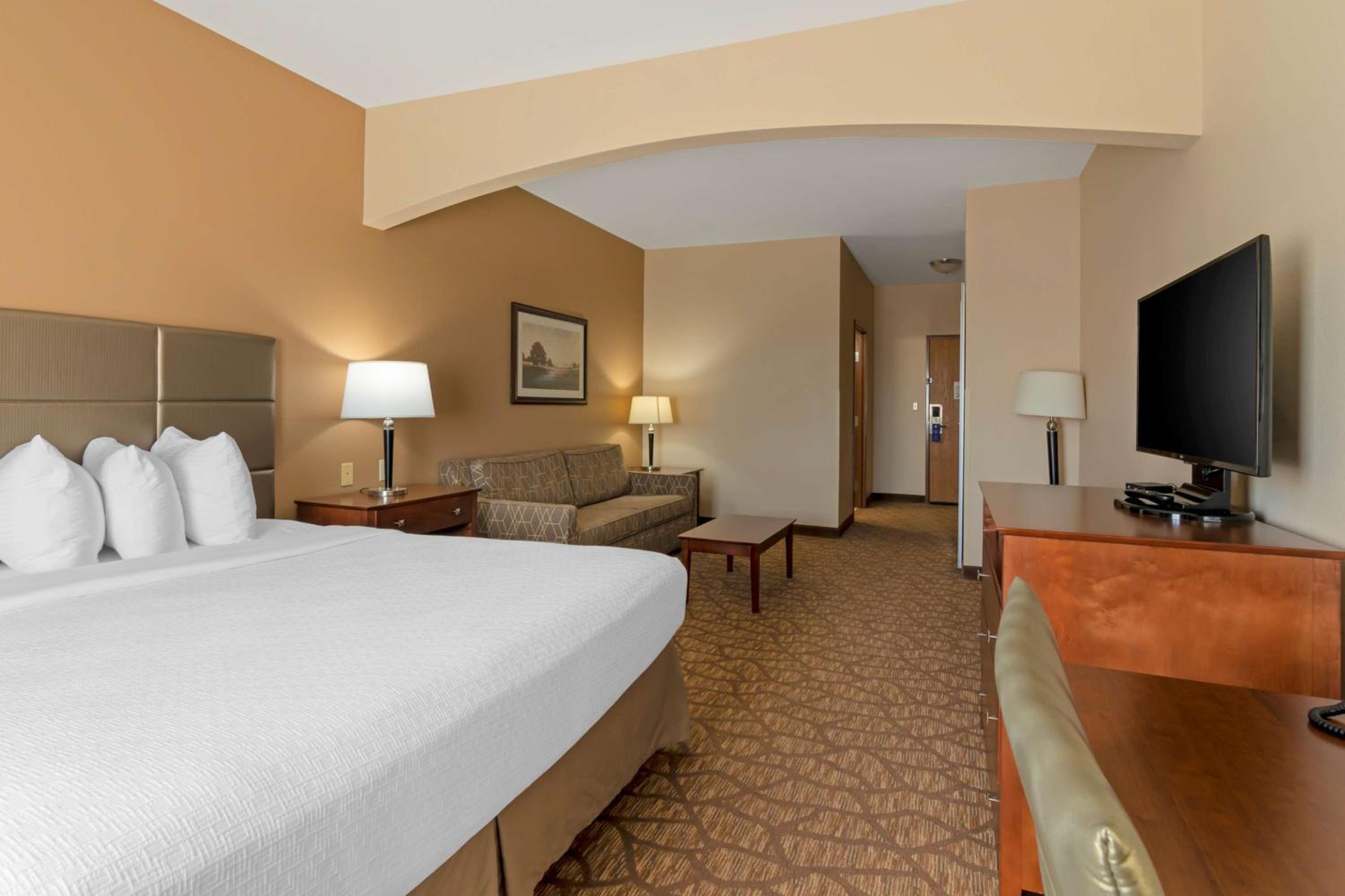 King Room - Pet Friendly/Non-Smoking photo 2
