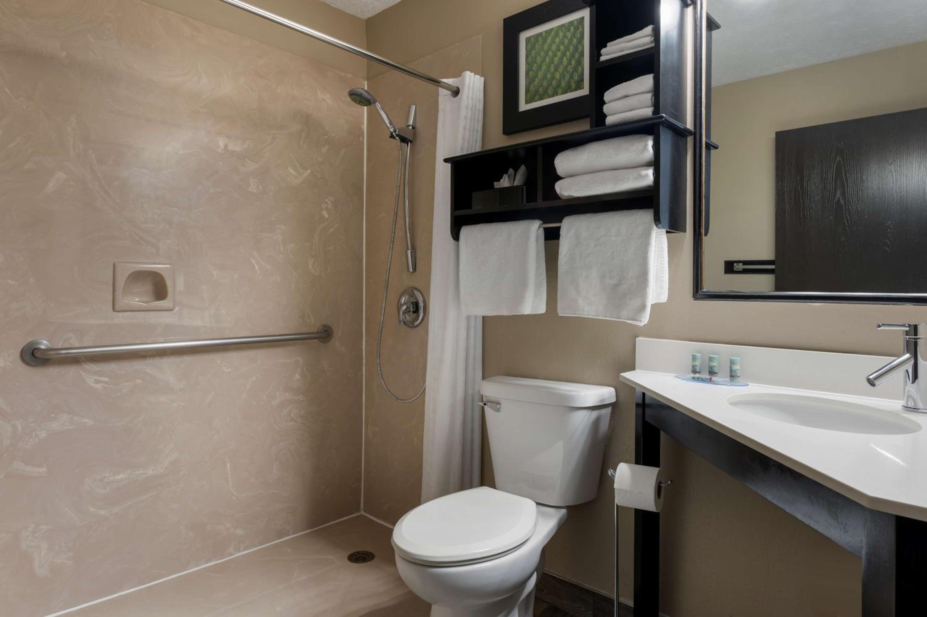 King Room with Roll-In Shower - Disability Access - Photo 2