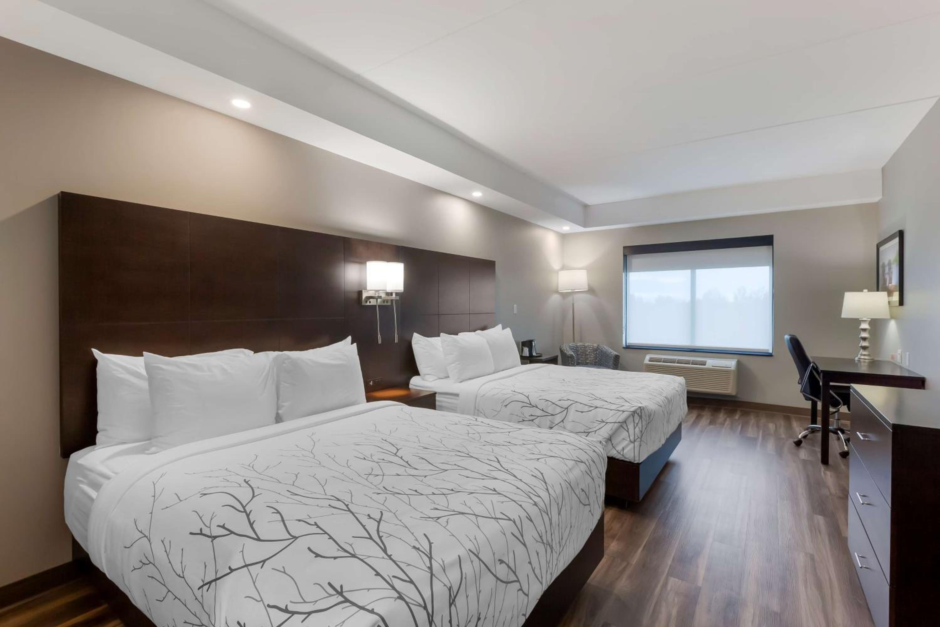 Queen Room with Two Queen Beds and Mobility Accessible Bathtub - Photo 1