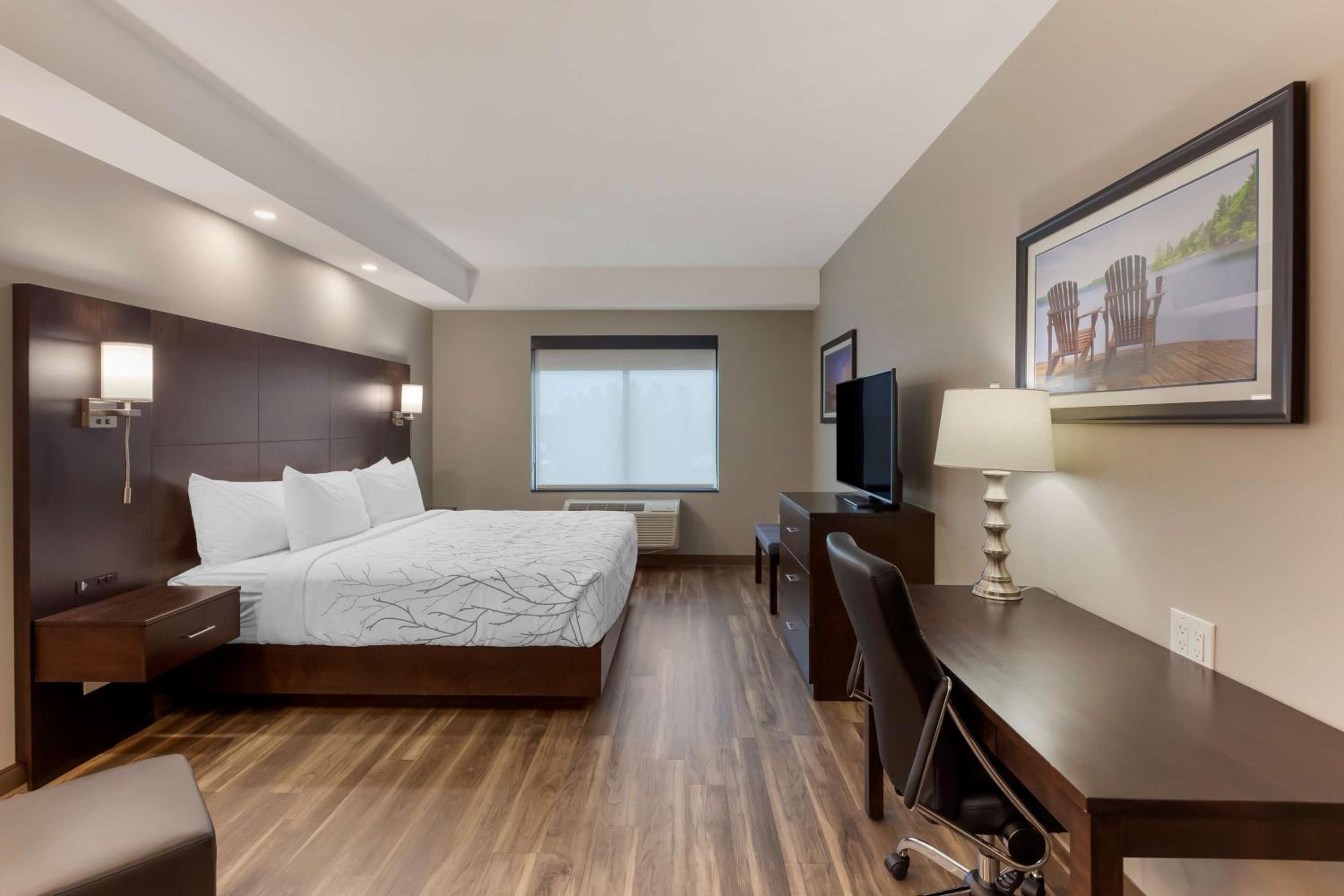 King Room - Non-Smoking - Photo 6