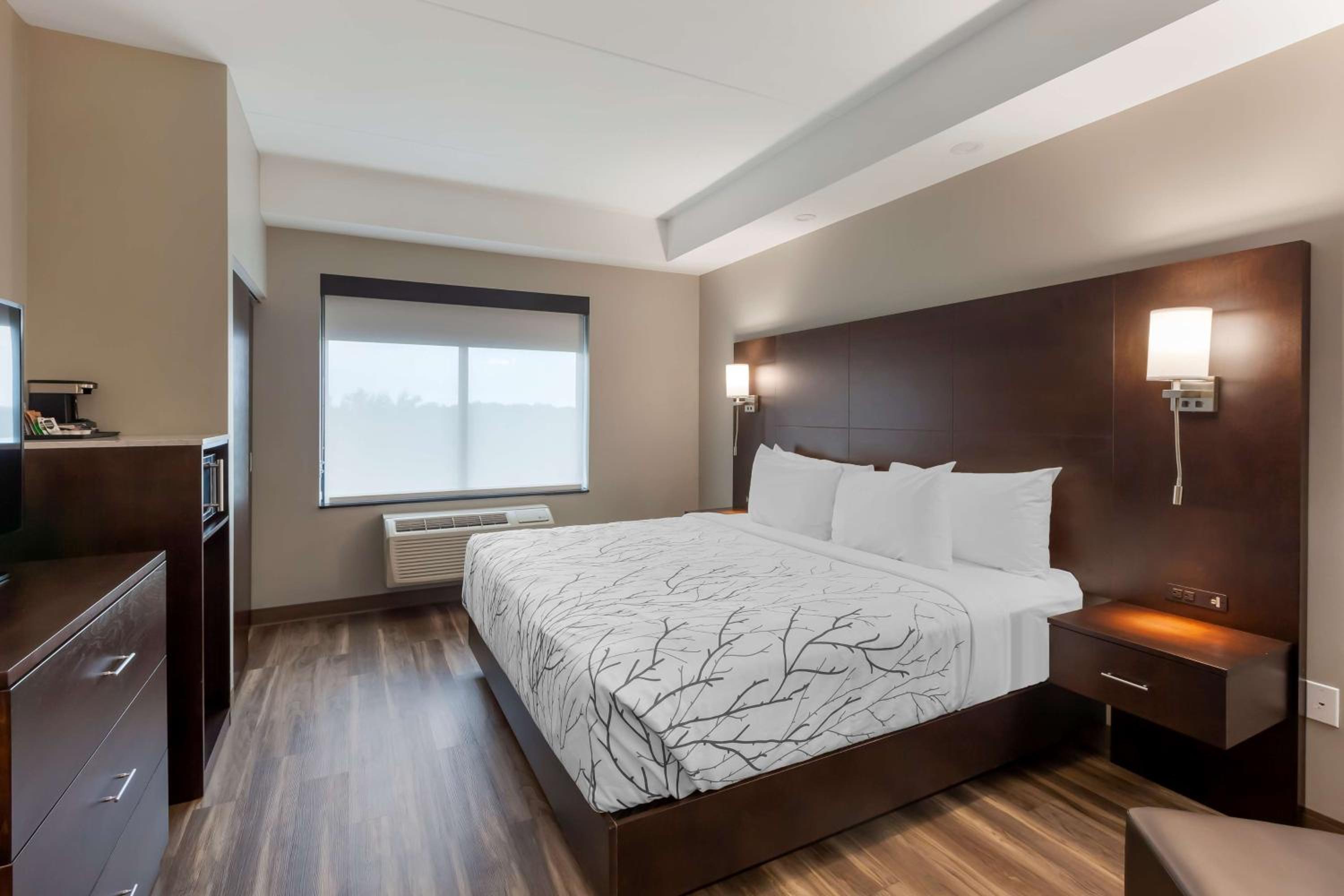 King Room - Disability Access - Photo 4